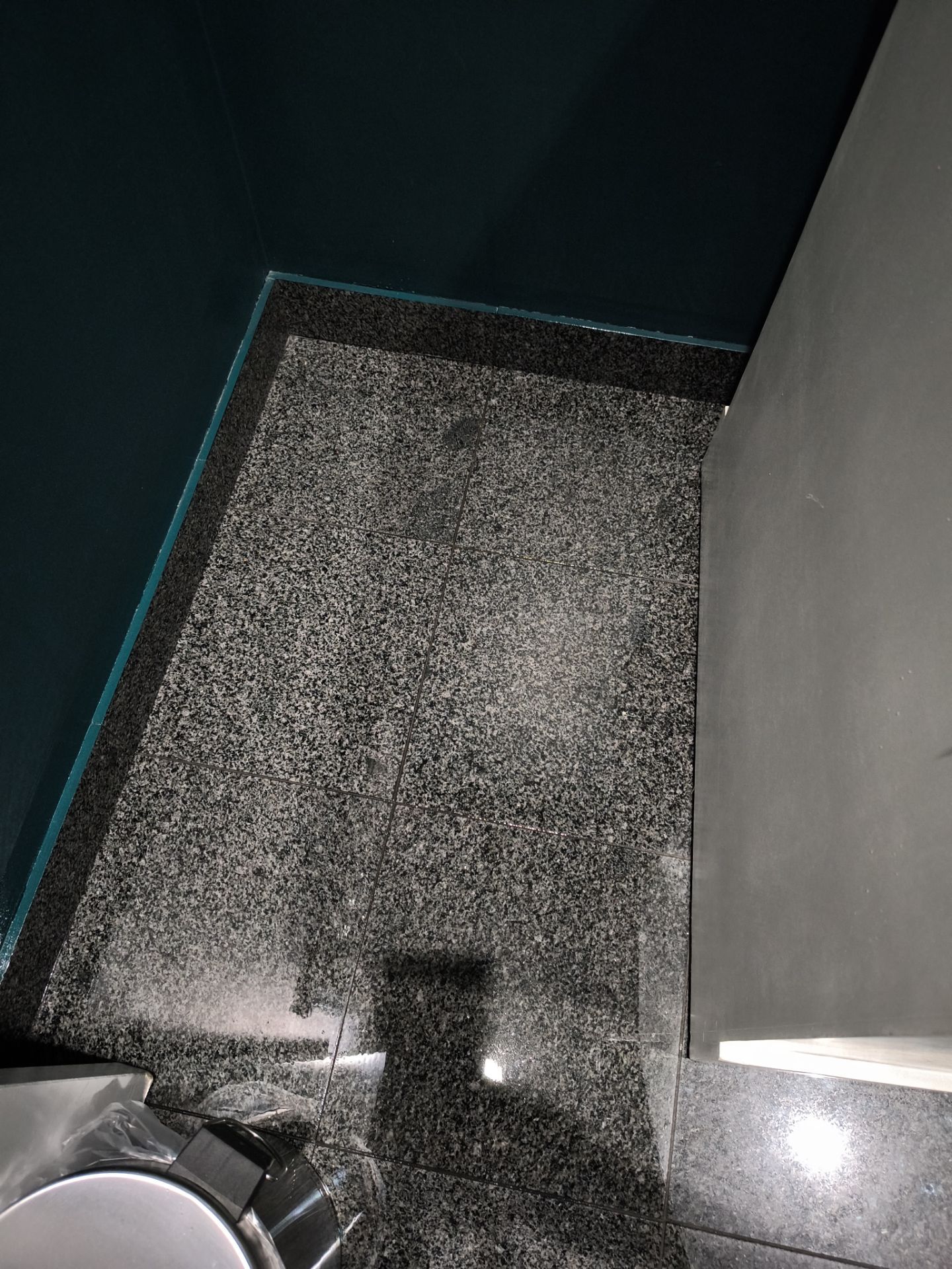 Project in Oak Park by Xo Clean Services 