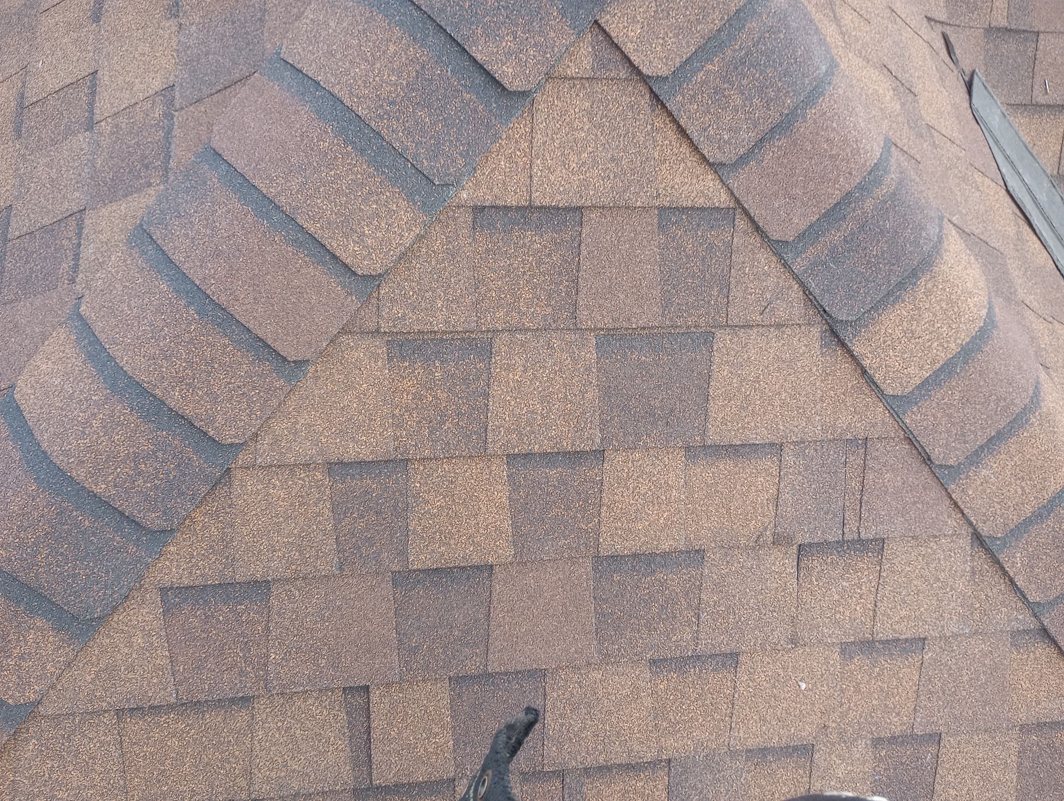 Brenda Rayner by Silver Leaf Contracting 