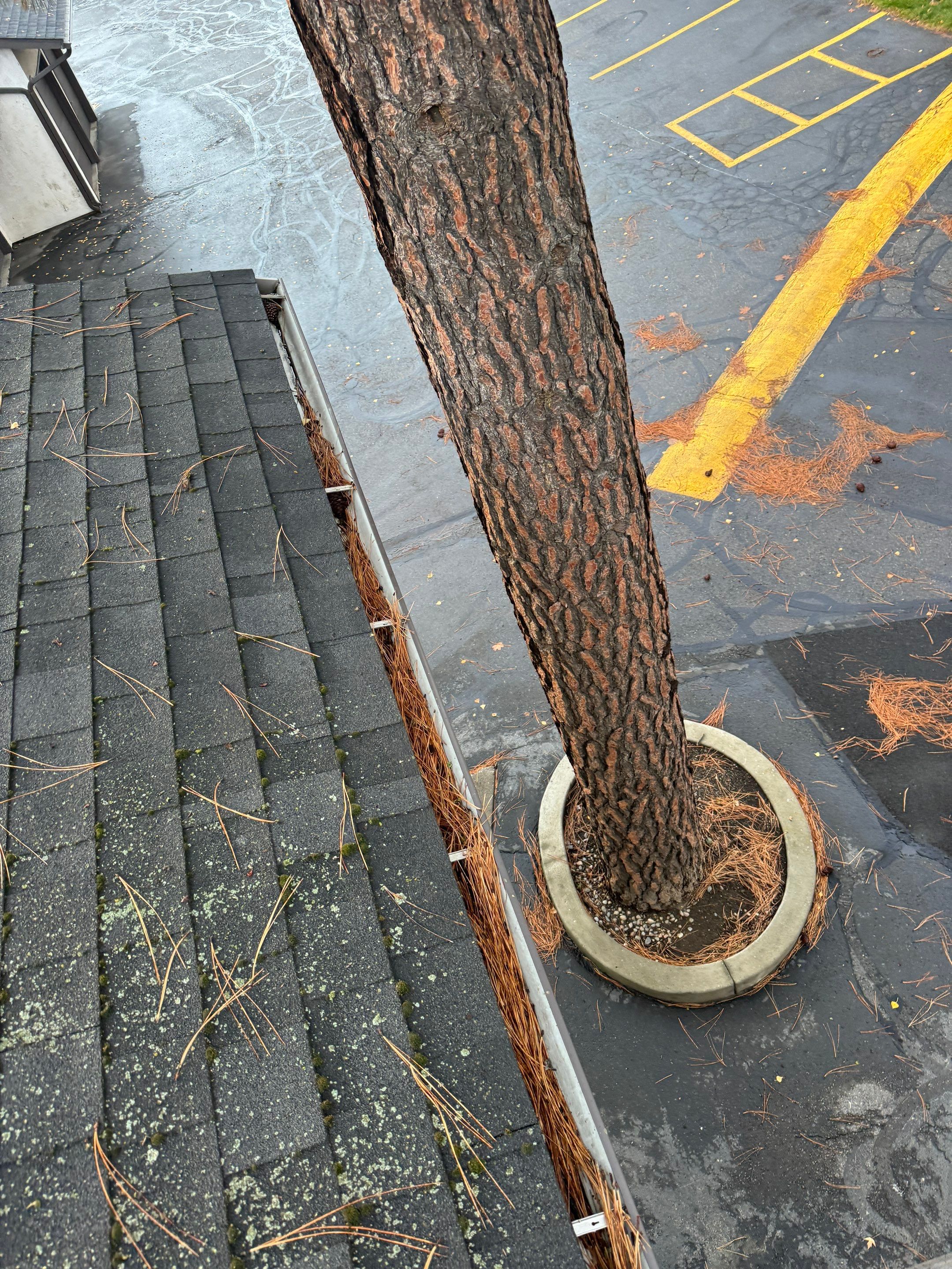 Commercial gutter cleaning Spokane, before photo with filled gutters