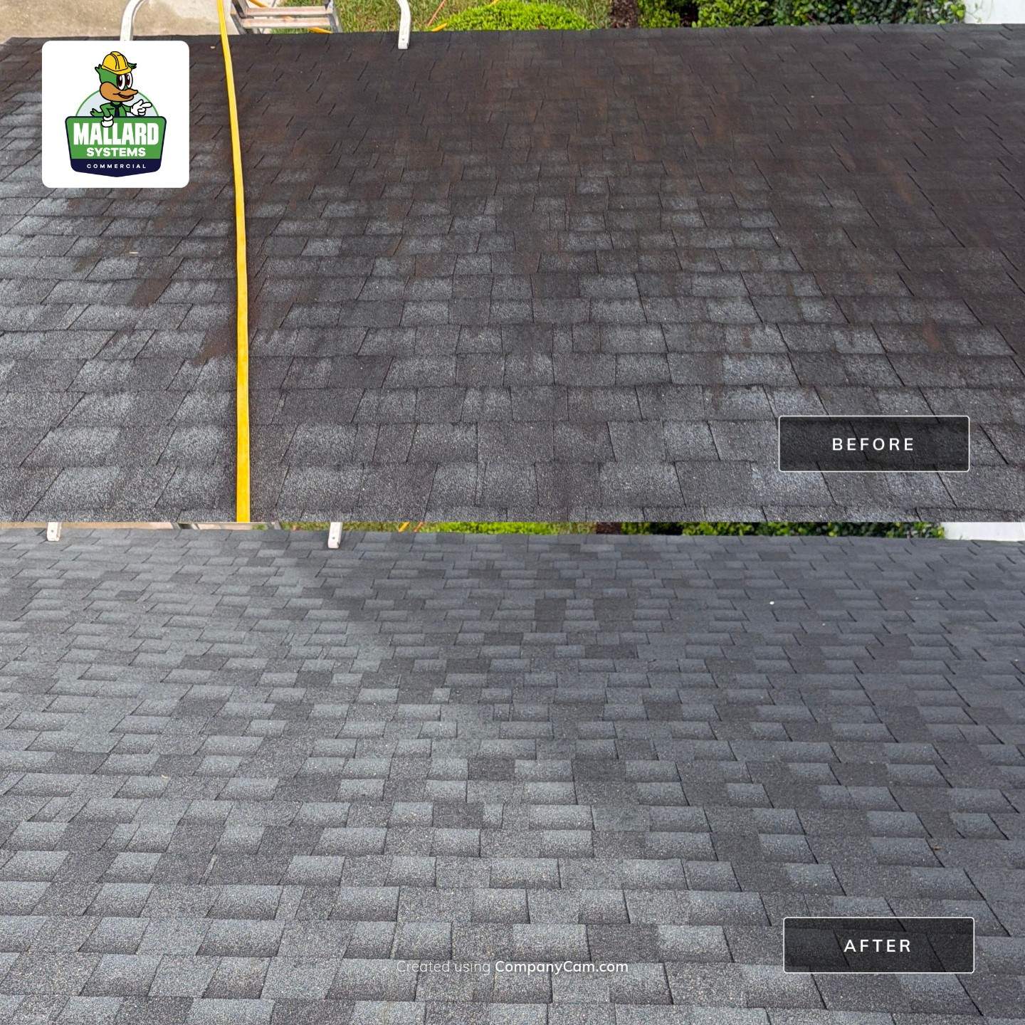 Shingle Roof Cleaning in Celebration by Mallard Systems