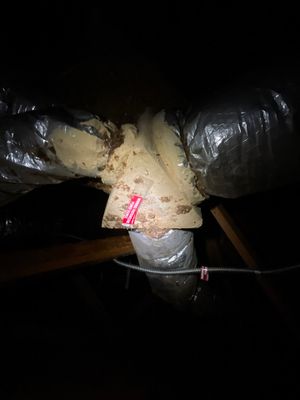 Attic Duct Connections & Exhaust Inspection in Clermont