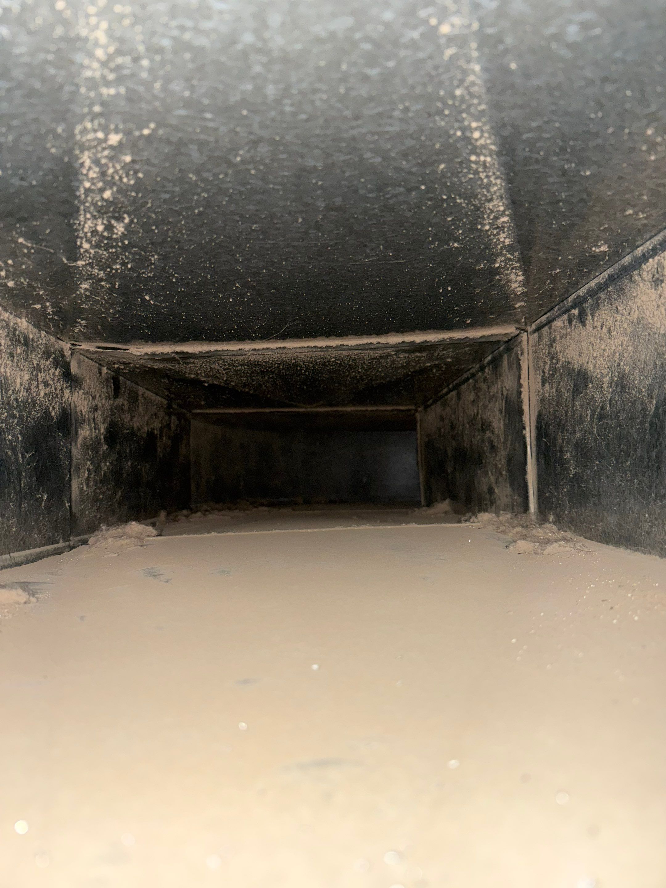 Duct Cleaning and Sanitizing in Mount Jackson by Elemental Heating and air conditioning LLC