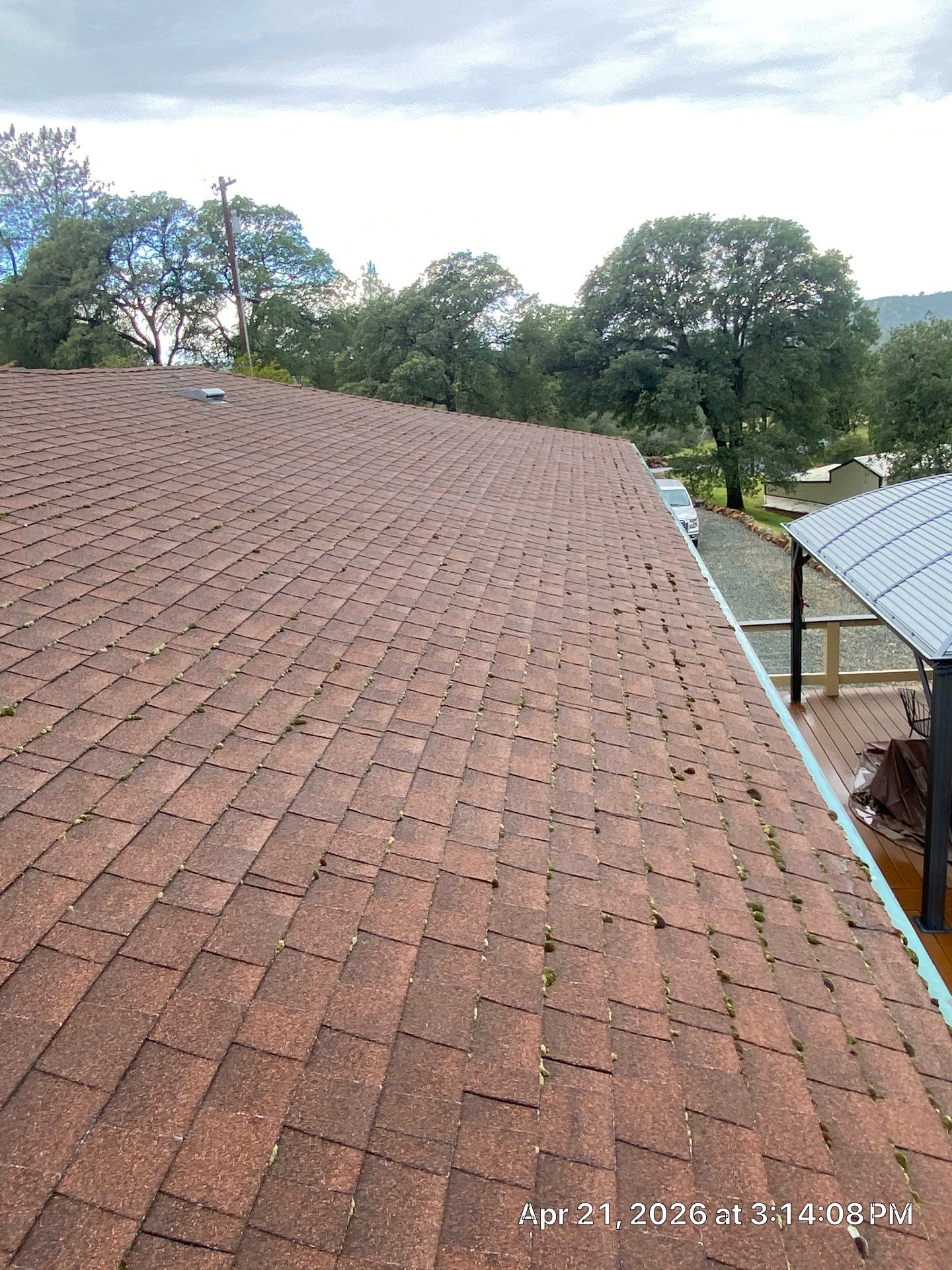 Roof Rejuvenation using Roof Maxx Treatment by Roof Maxx of Folsom