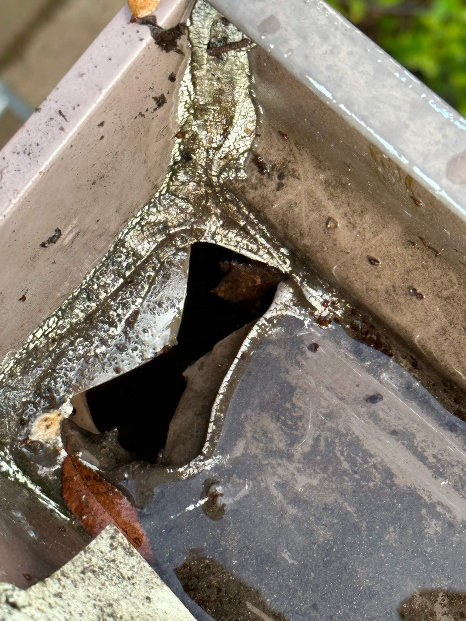 Clogged gutters at this Irvine home in Woodbury by Property Cleaning Experts, LLC