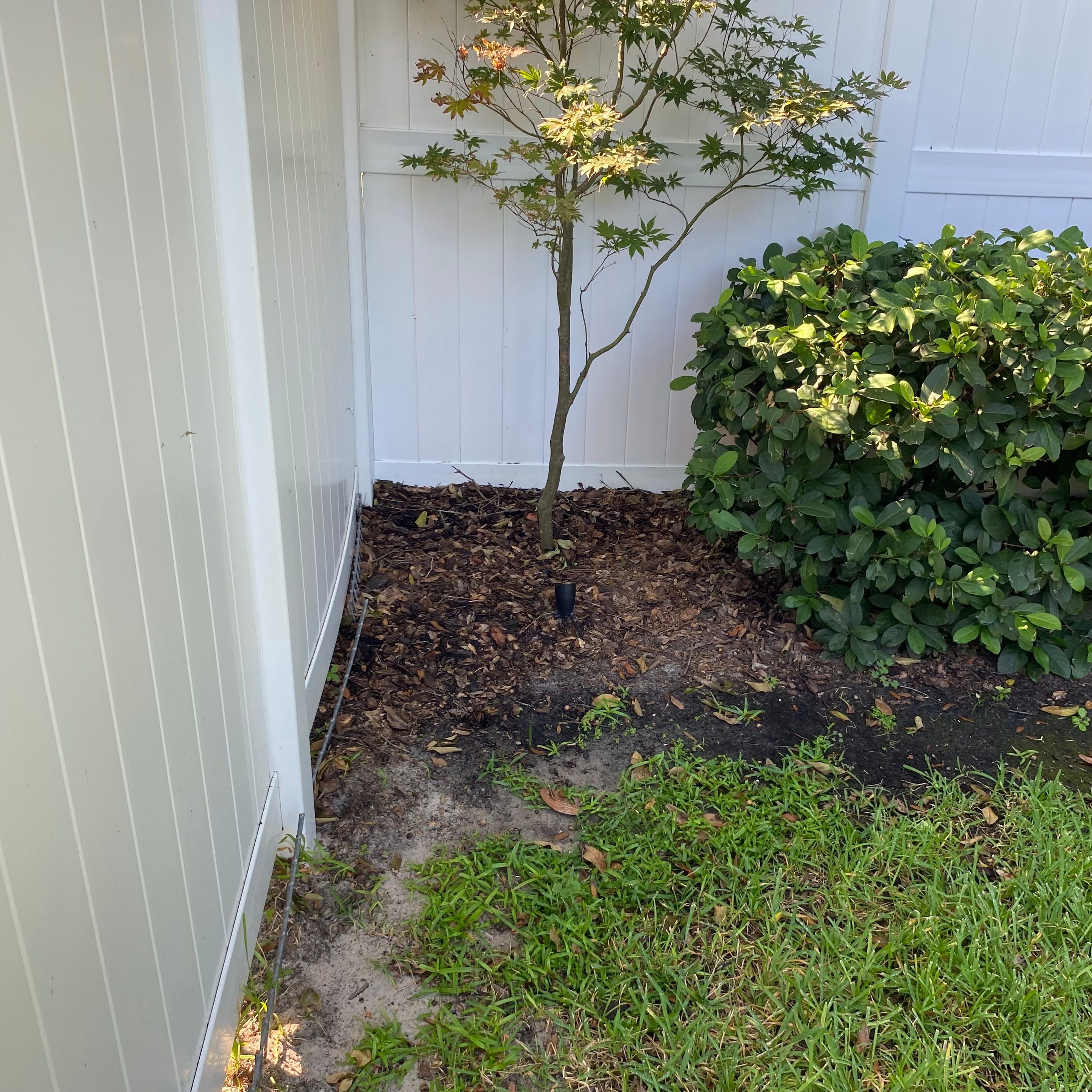 Pine Bark Install | Residential by ProGreen Services