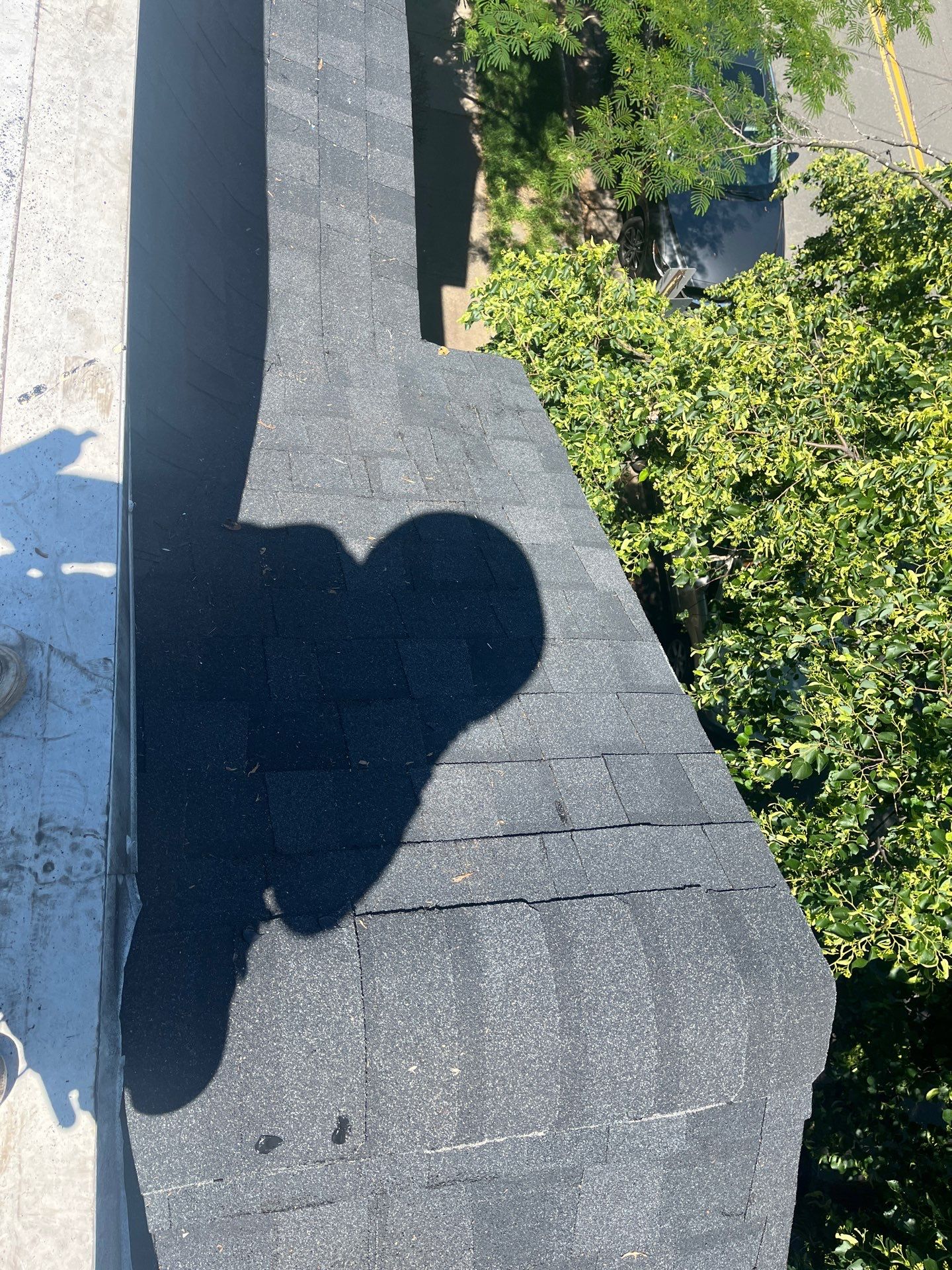 Alexandria: Siding Replacement with Solid Pine Wood Lap Siding by RM Banning, Inc.