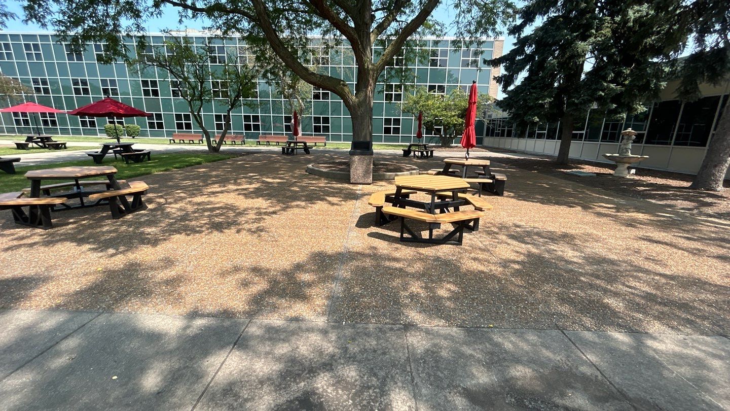 concrete using Algaecide, soft wash soap by Northern Power Washing LLC.
