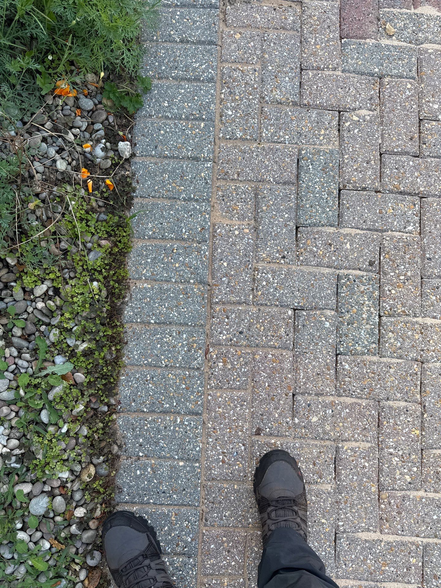 Roof And Driveway Clean by Ges Exterior Cleaning ltd