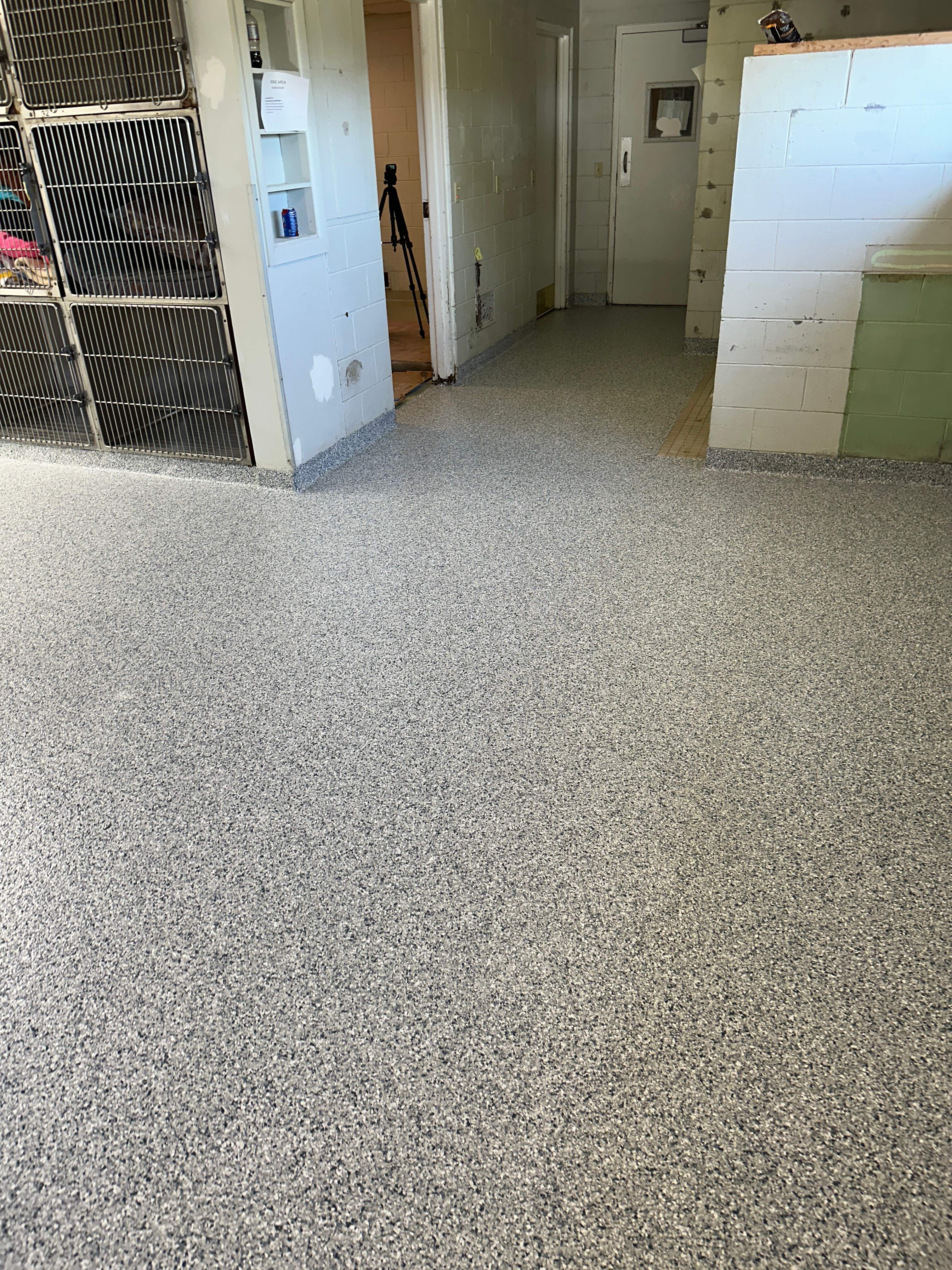 Steamboat Canine Shelter Normal by Loud Bros