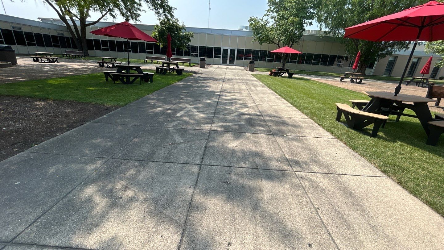 concrete using Algaecide, soft wash soap by Northern Power Washing LLC.
