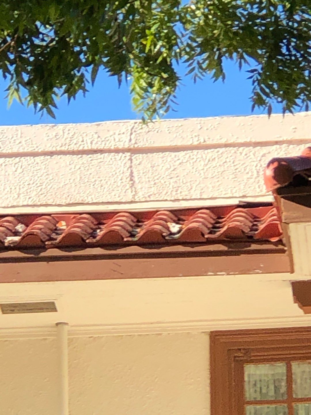 Tile roof project by Springtree Restoration 