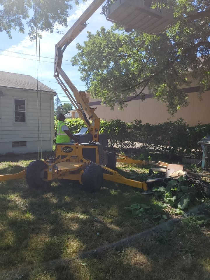 Tree Trimming using Tree Pruing by Mike Jones & Sons Tree Service LLC 