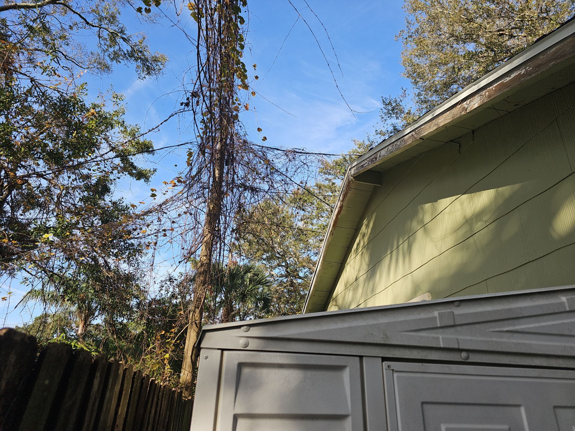 Project in St. Petersburg 33776 by Mitchell Roofing Company LLC 