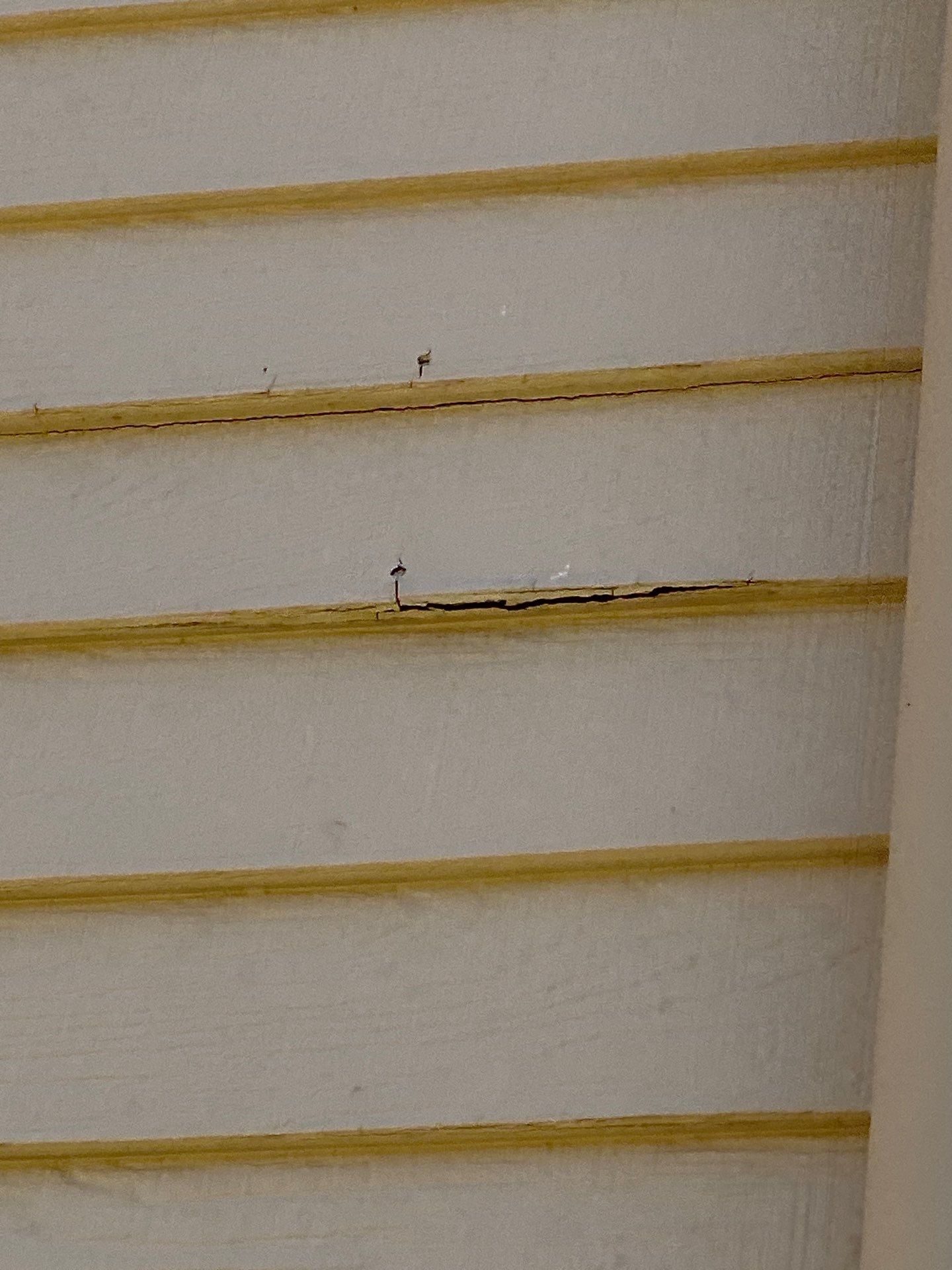 Siding | Andover by Mighty Dog Roofing of Greater Middlesex County