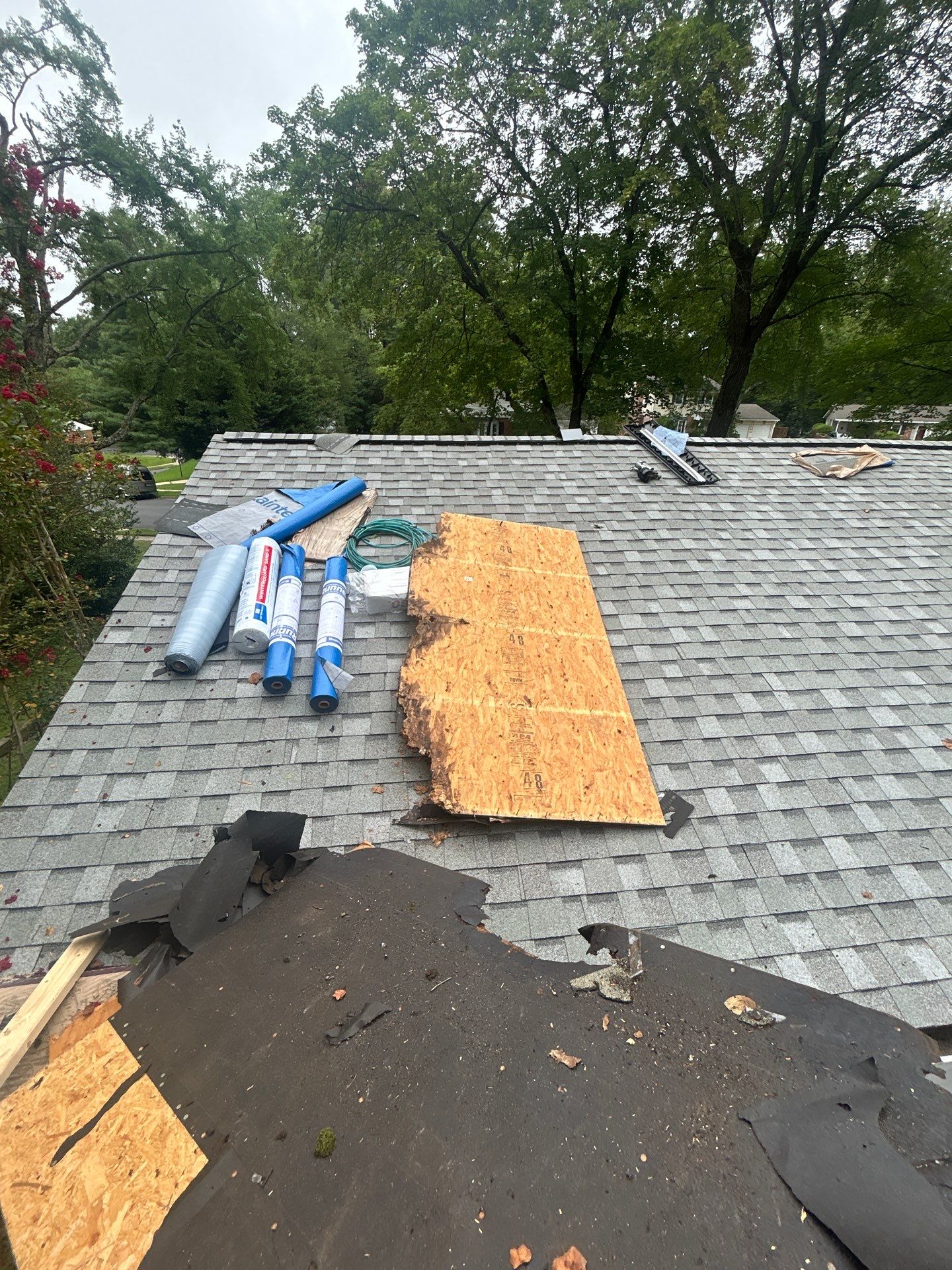 Springfield : with CertainTeed Landmark Pro in Max Def Cobblestone Gray  by RM Banning, Inc.