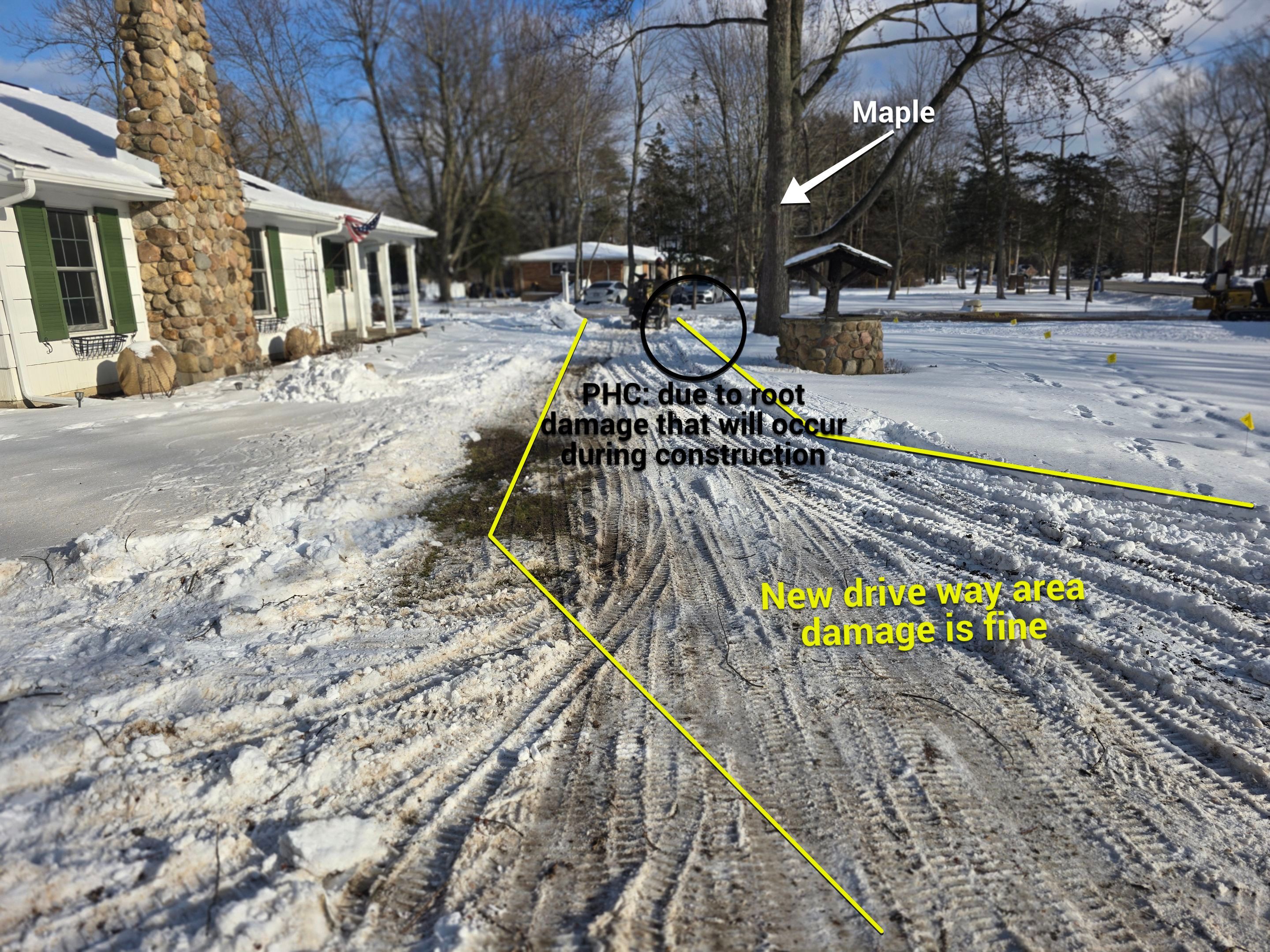 Tree Removal: Future Drive install by Treeman Tom LLC