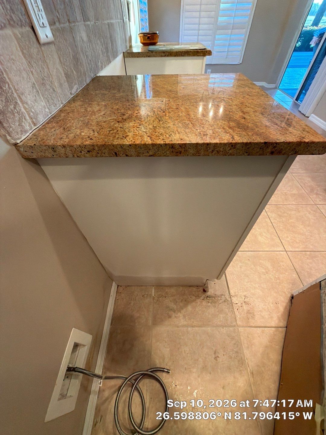 Fort Myers Water Damage Restoration and Professional Mold Remediation by Microscope