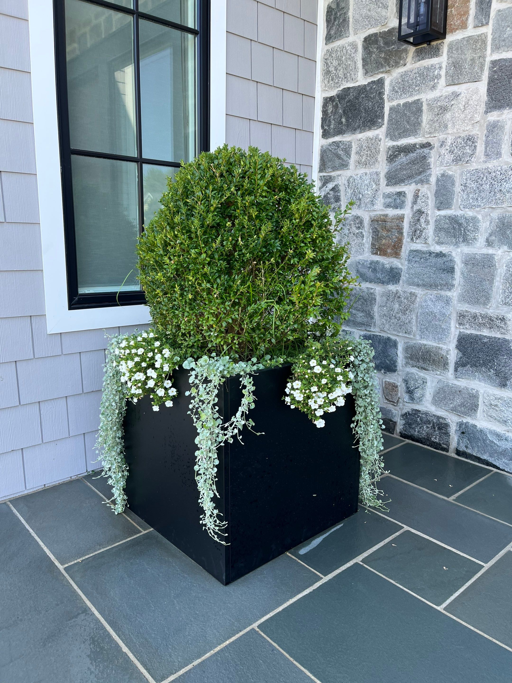 New Install by elegant Lawns