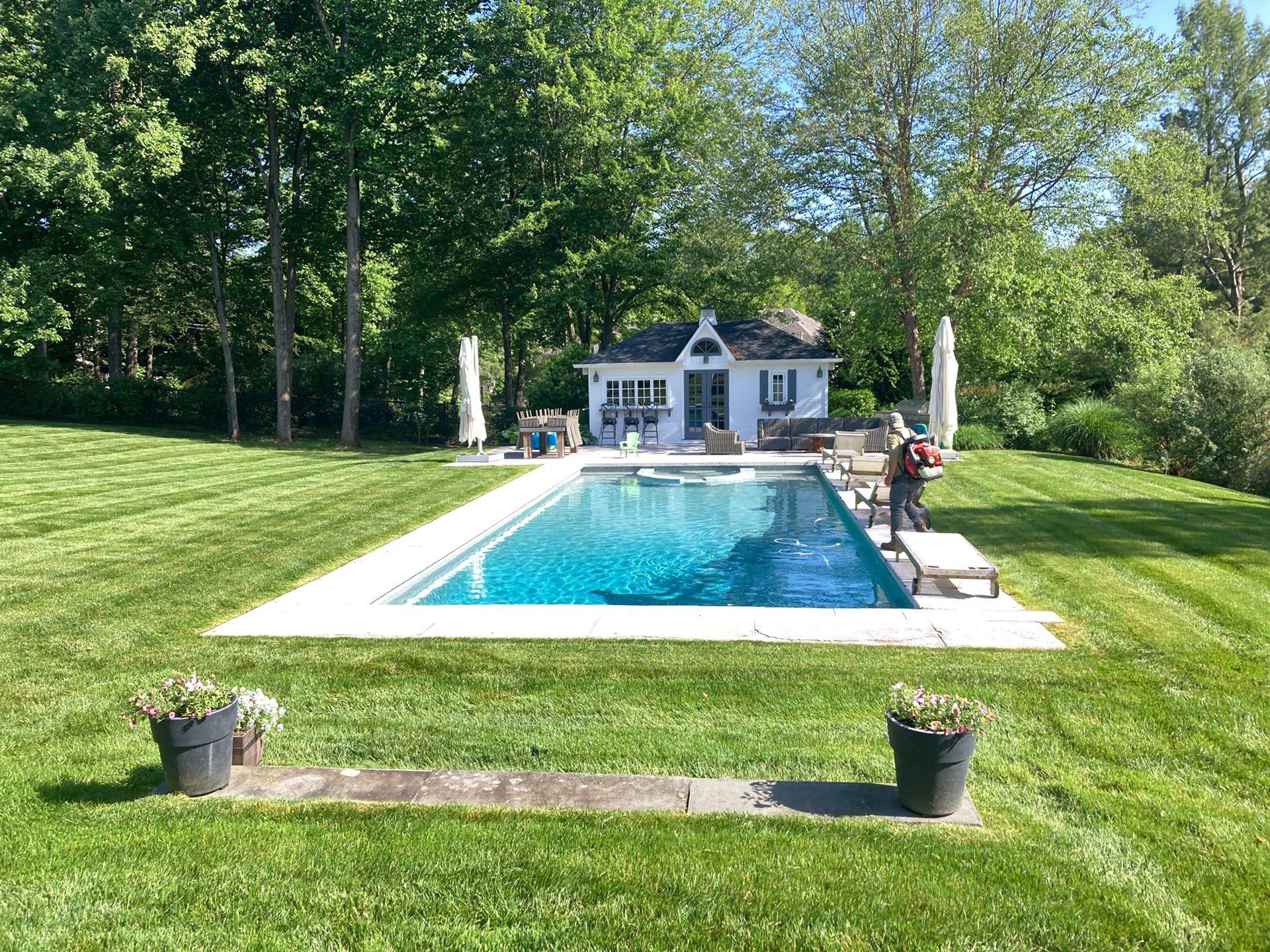 Comprehensive Lawn Care in Warren by Ants Plants