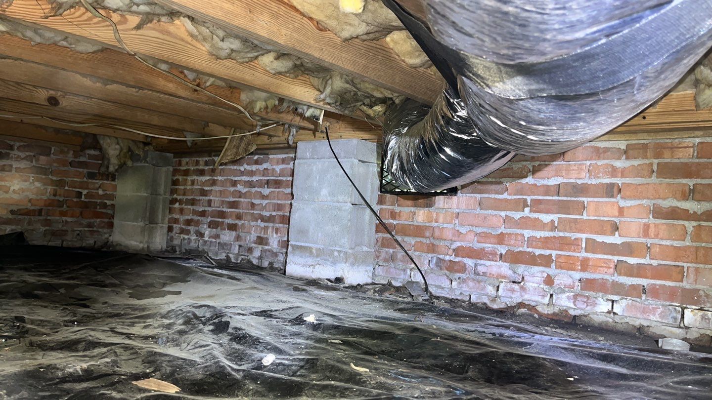 Impact Choice Encapsulation using YCS Pro Cleaner by Impact Crawlspace