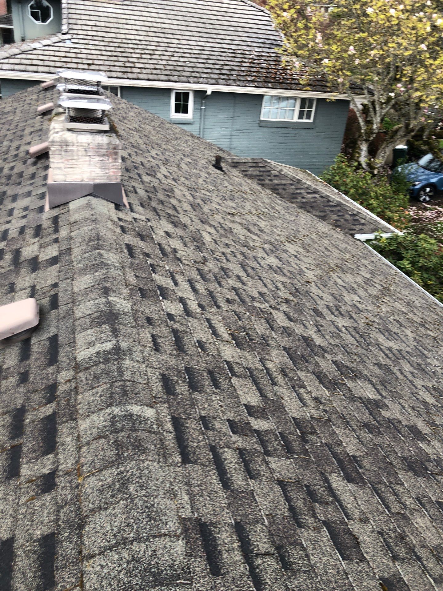 Project in Seattle by Peaks and Valleys Construction