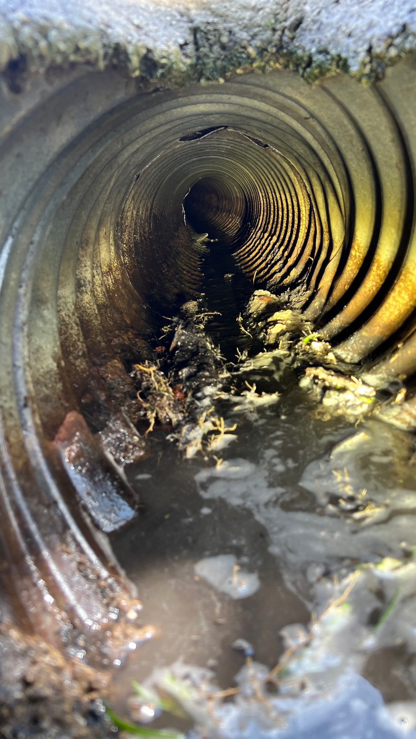 Naples Community Entry Road Stormwater System Cleaning by APS Power & Water