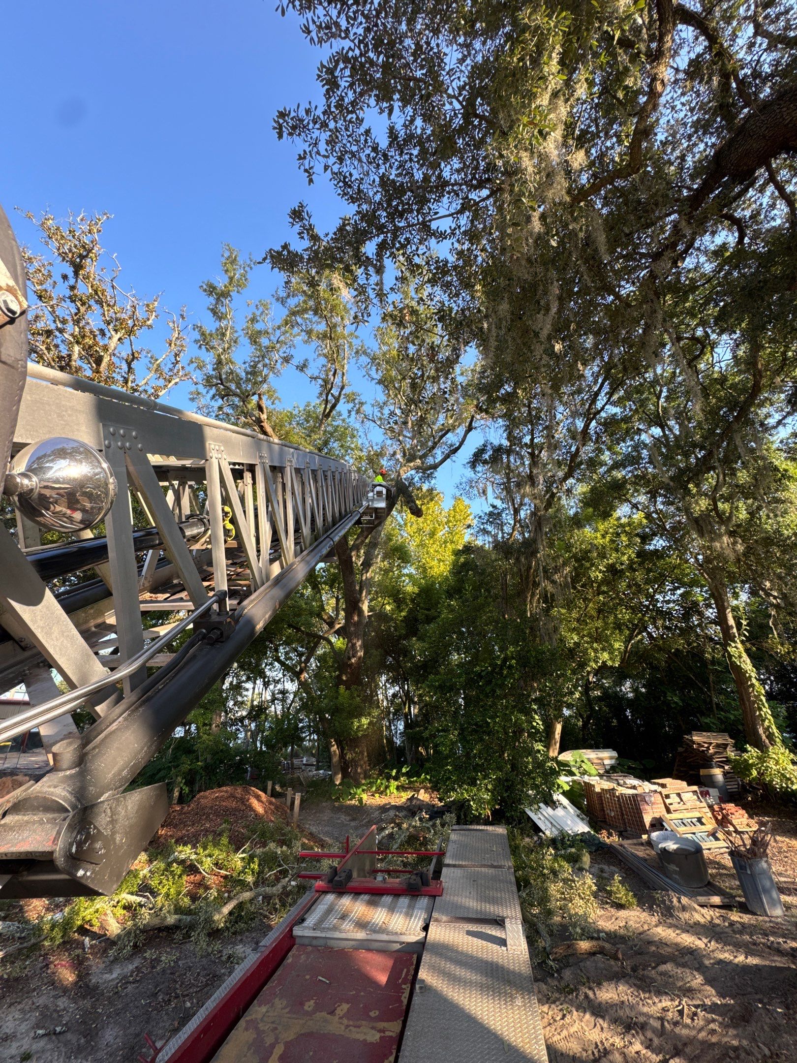 Tree Removal | Episcopal Softball Field by ProGreen Services