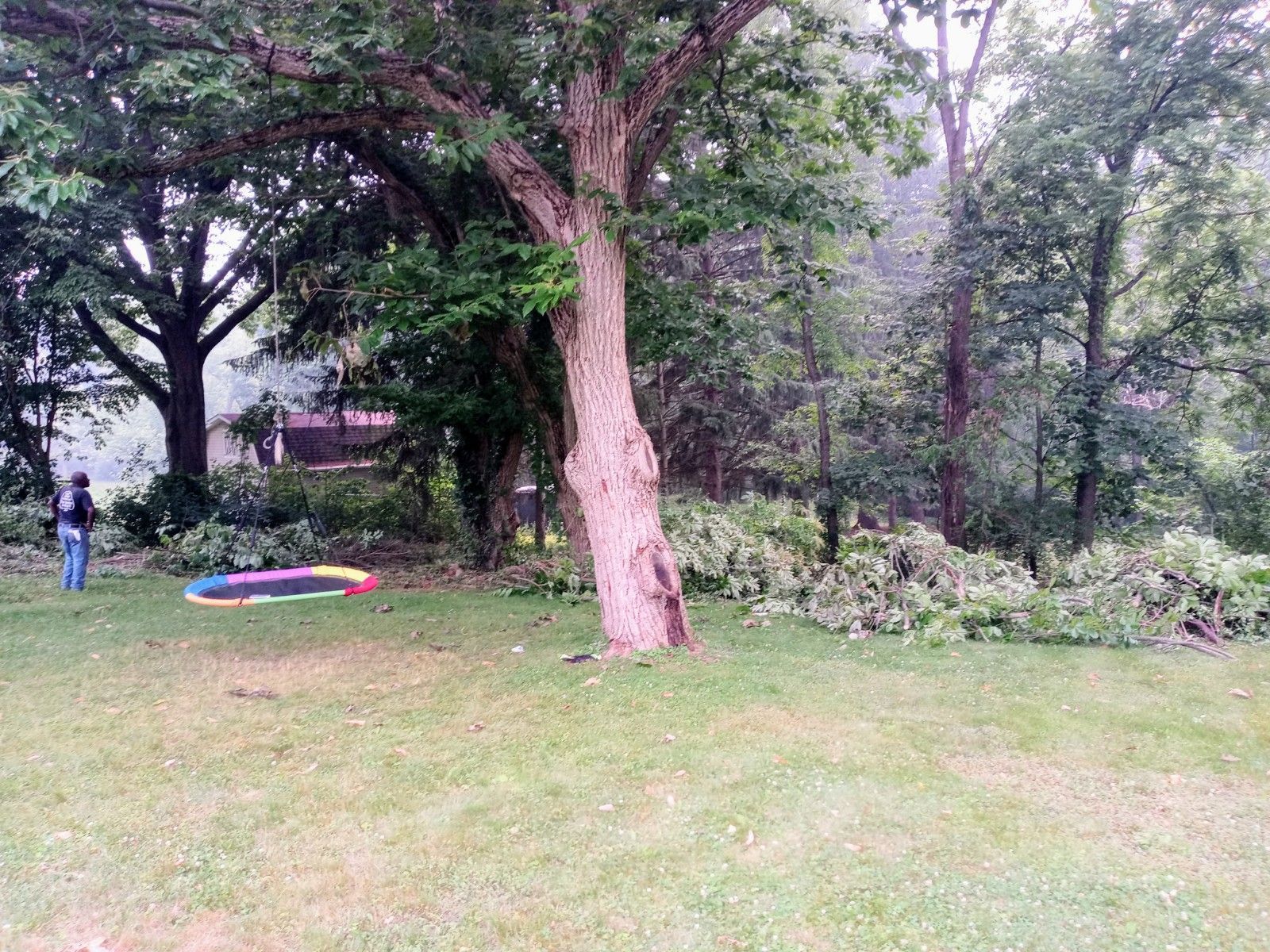 Tree Removal using Tree Removal by Mike Jones & Sons Tree Service LLC 