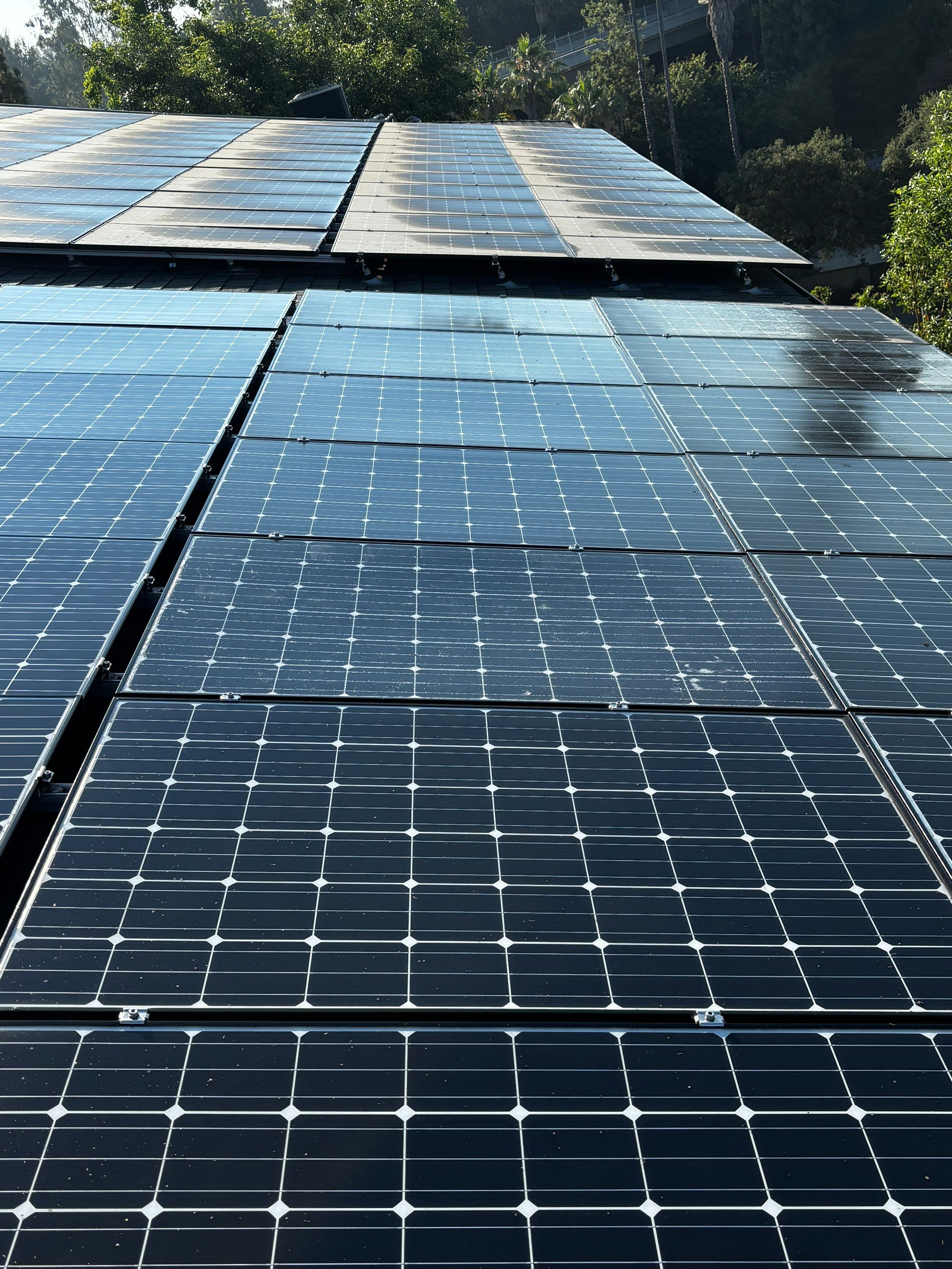 Commercial Solar Panel Cleaning for Chandler School in Pasadena Ca by Palm Coast Solar Cleaning