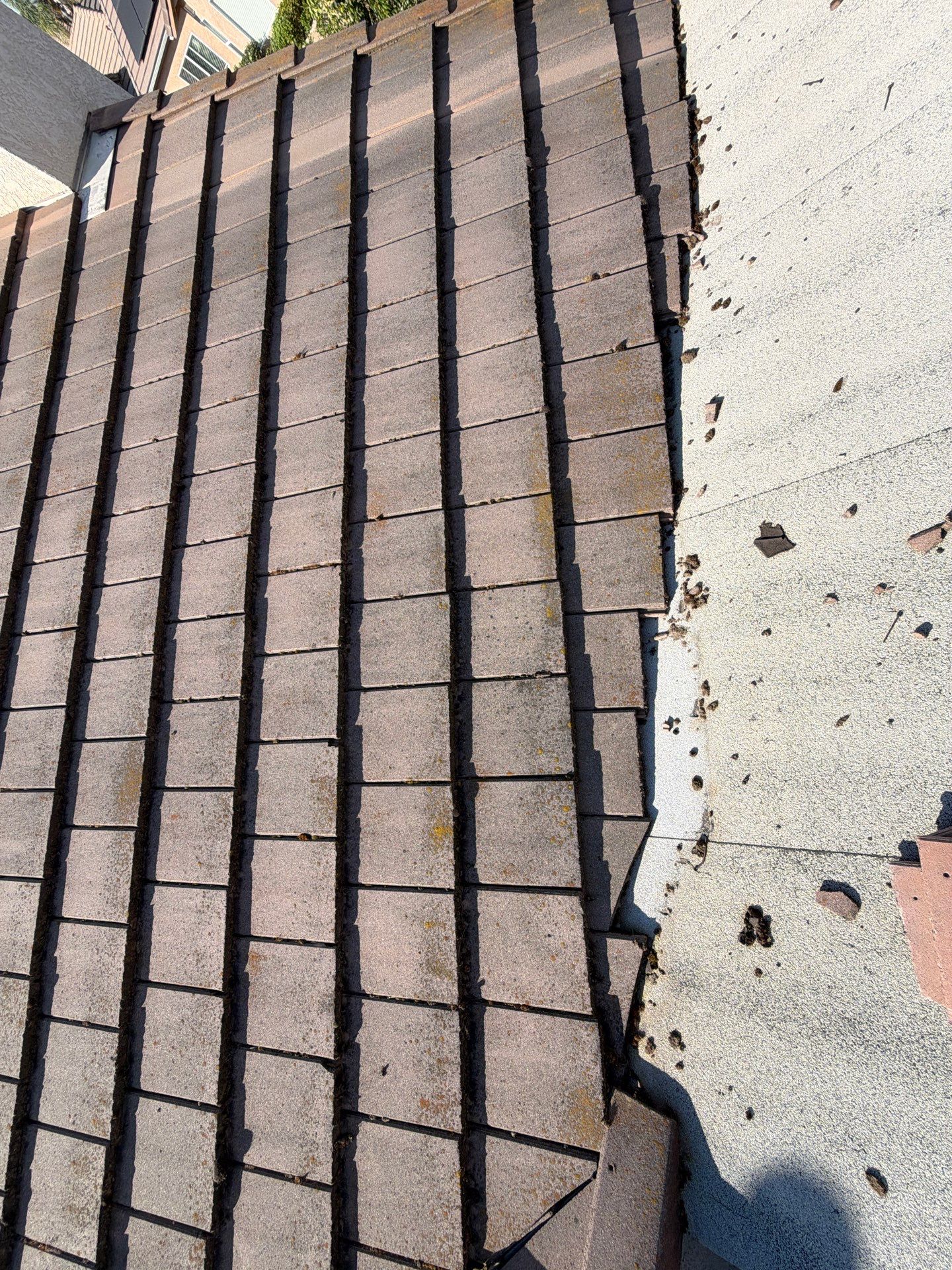 Sassan Rassouli by CJM Roofing