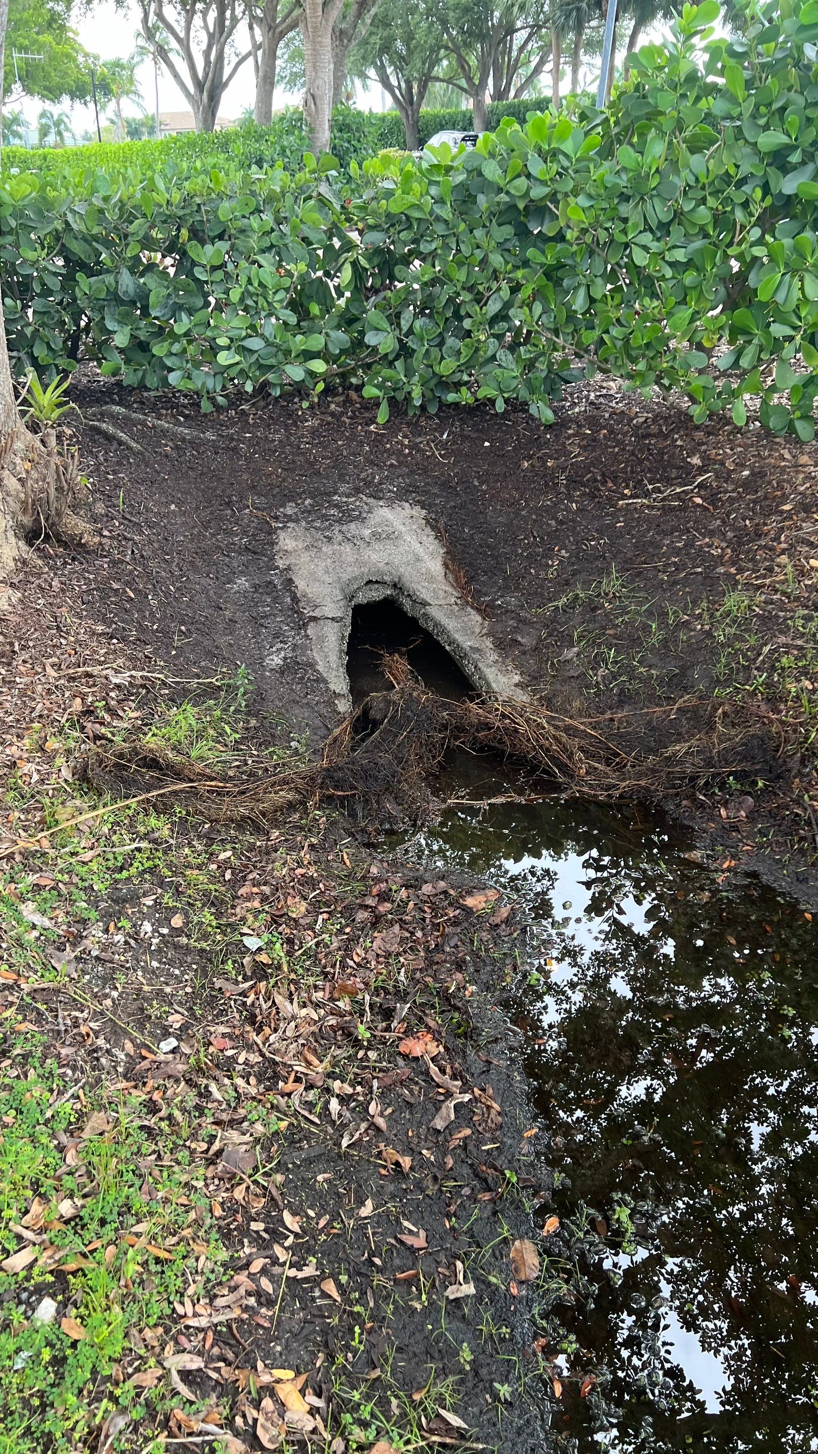 Naples Community Culvert Cleaning by APS Power & Water