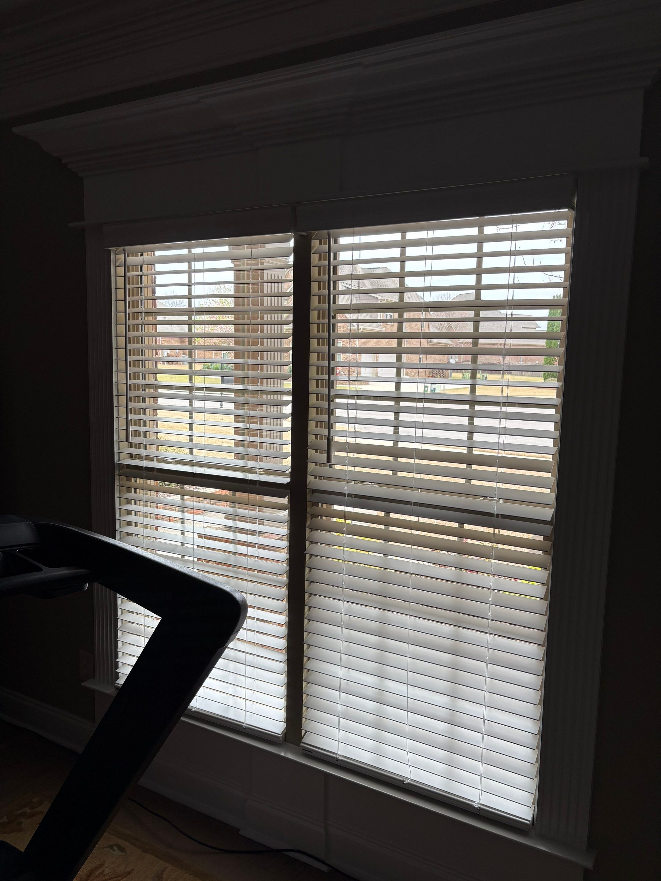 Faux Wood Blinds Project in Madison by Blinds and Borders