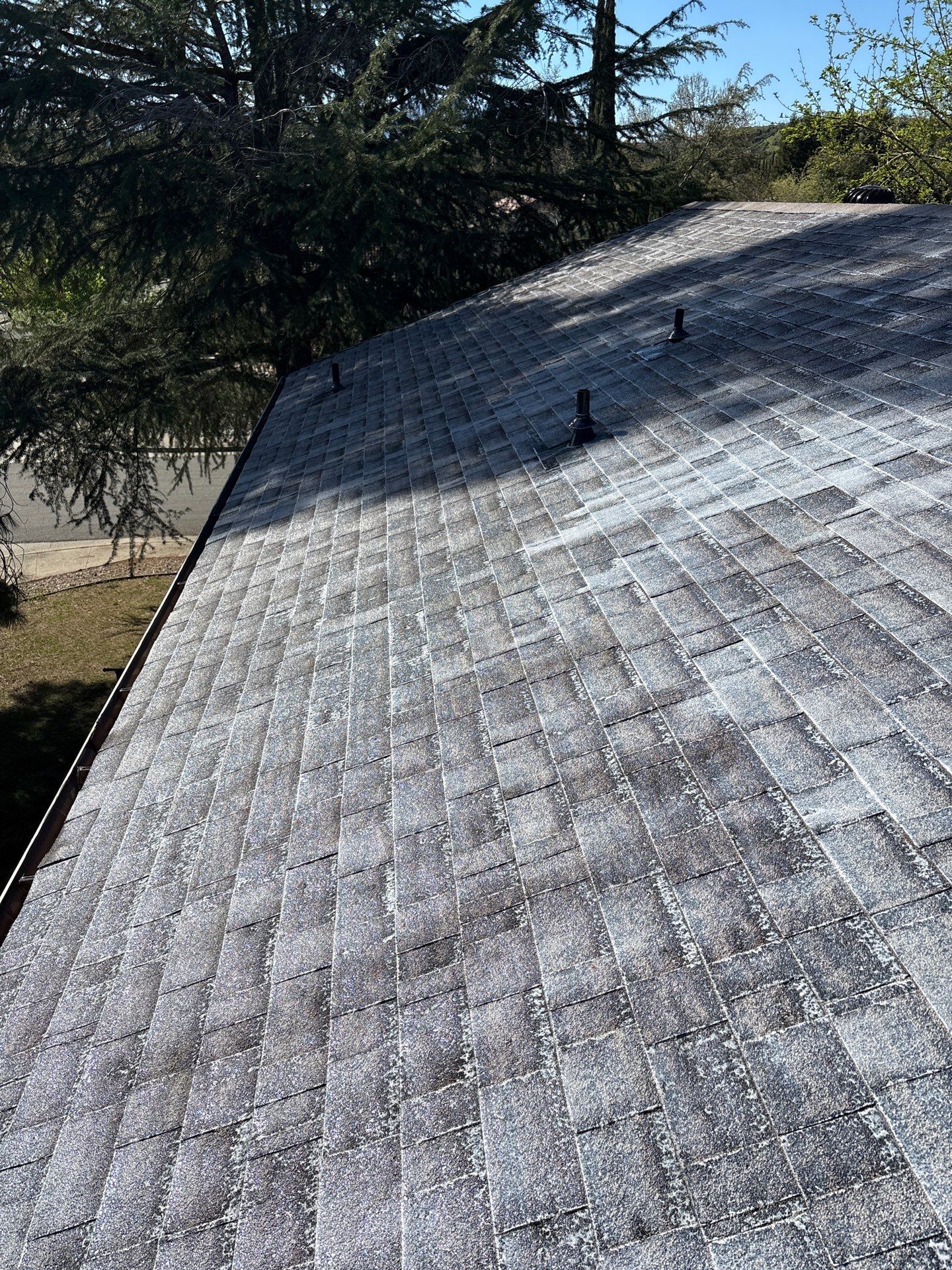 Roof Rejuvenation using Roof Maxx Treatment by Roof Maxx of Folsom