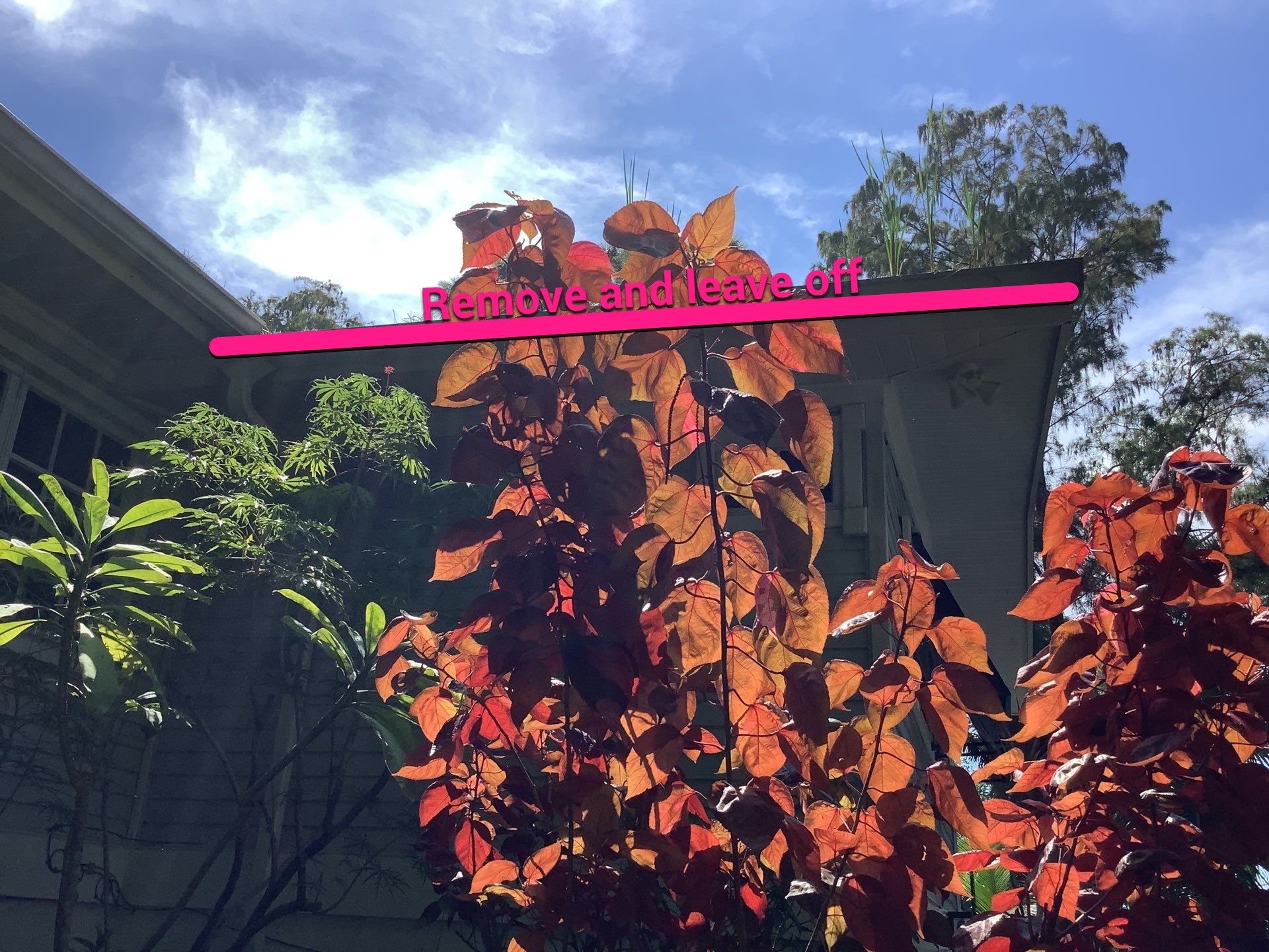 Leaf Guard System in Fort Myers FL by Gutter Professors