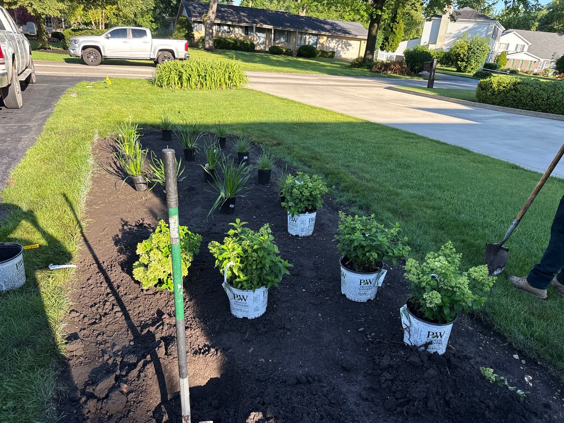 Anne P. - Arlington Heights, IL by A&N 