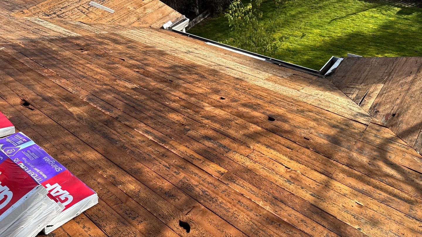 Willa Holmstock by NuLead Construction Inc