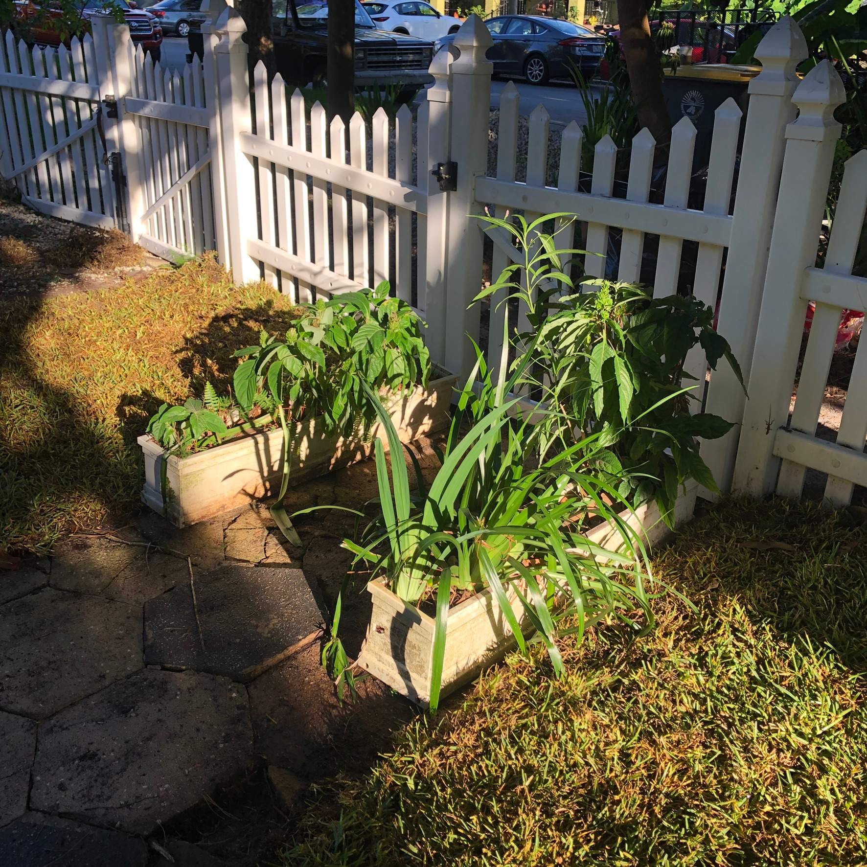 Extreme Clean Up - Landscape Install | Residential by ProGreen Services