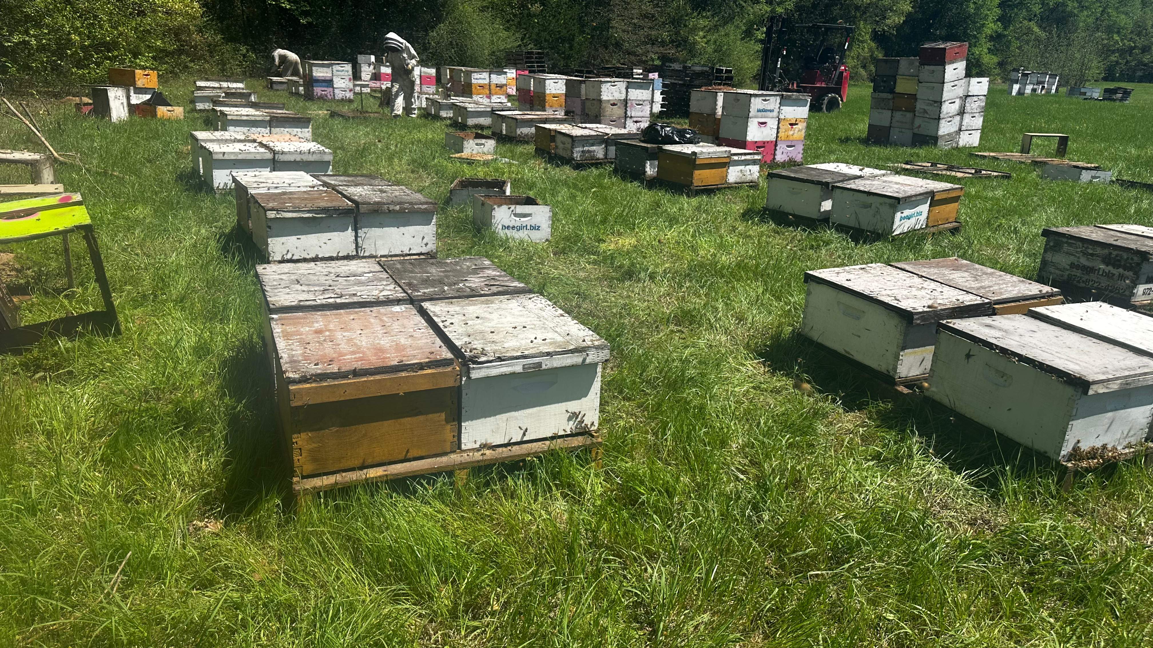 Traylor's Hay Meadow Apiary by Rockwall Honey Bee Company