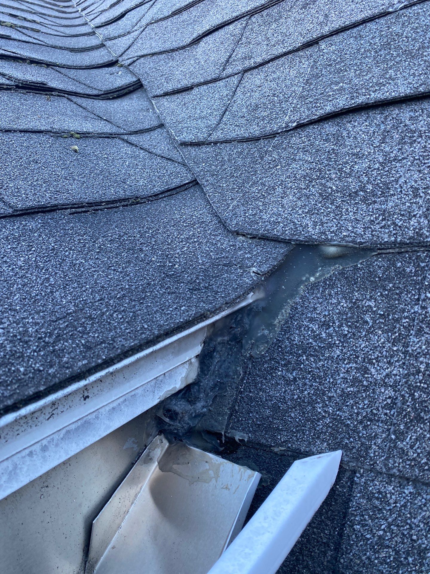 Roofing | Littleton by Mighty Dog Roofing of Greater Middlesex County