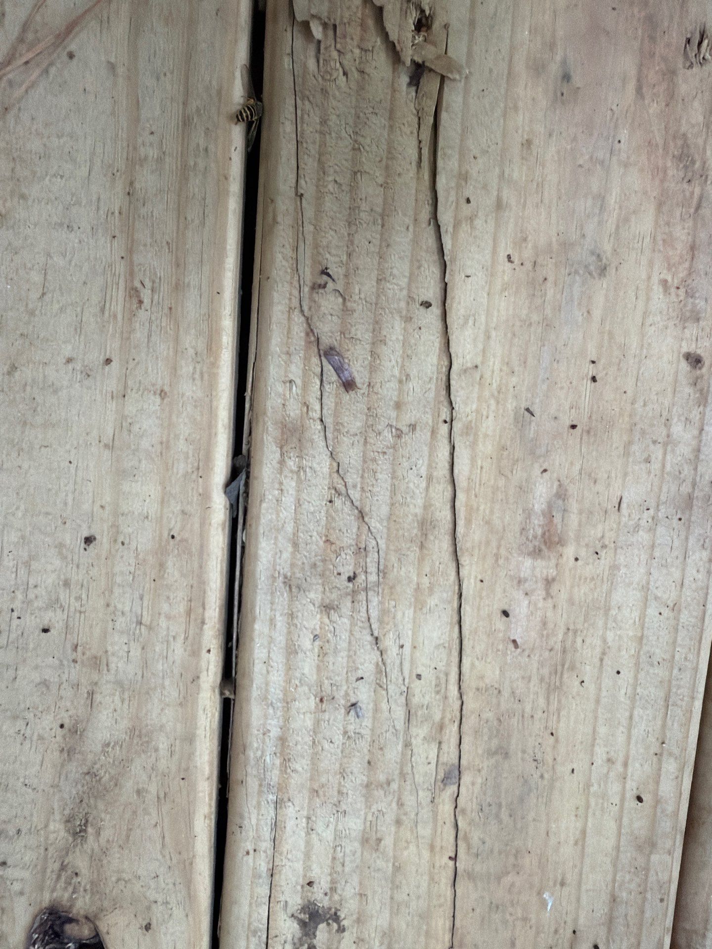 Deck using Wood Sealant by DuraSeal