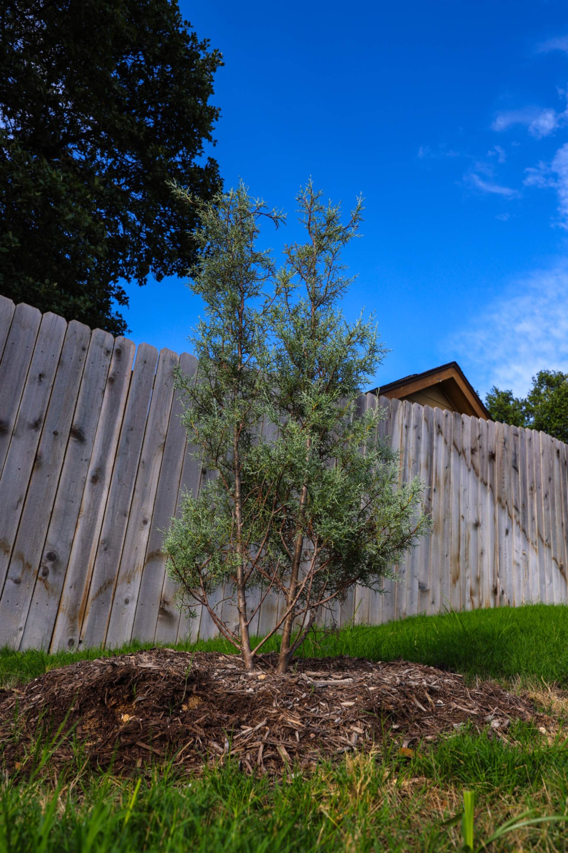 Timberwood Estates - San Antonio, TX by Hole In One Lawns, LLC