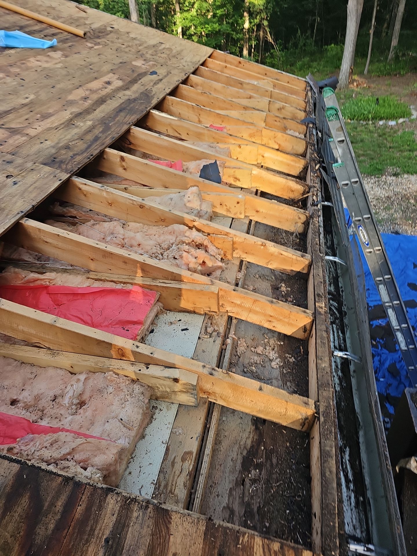 Roof Replacement - Shenandoah by Winchester Roofing