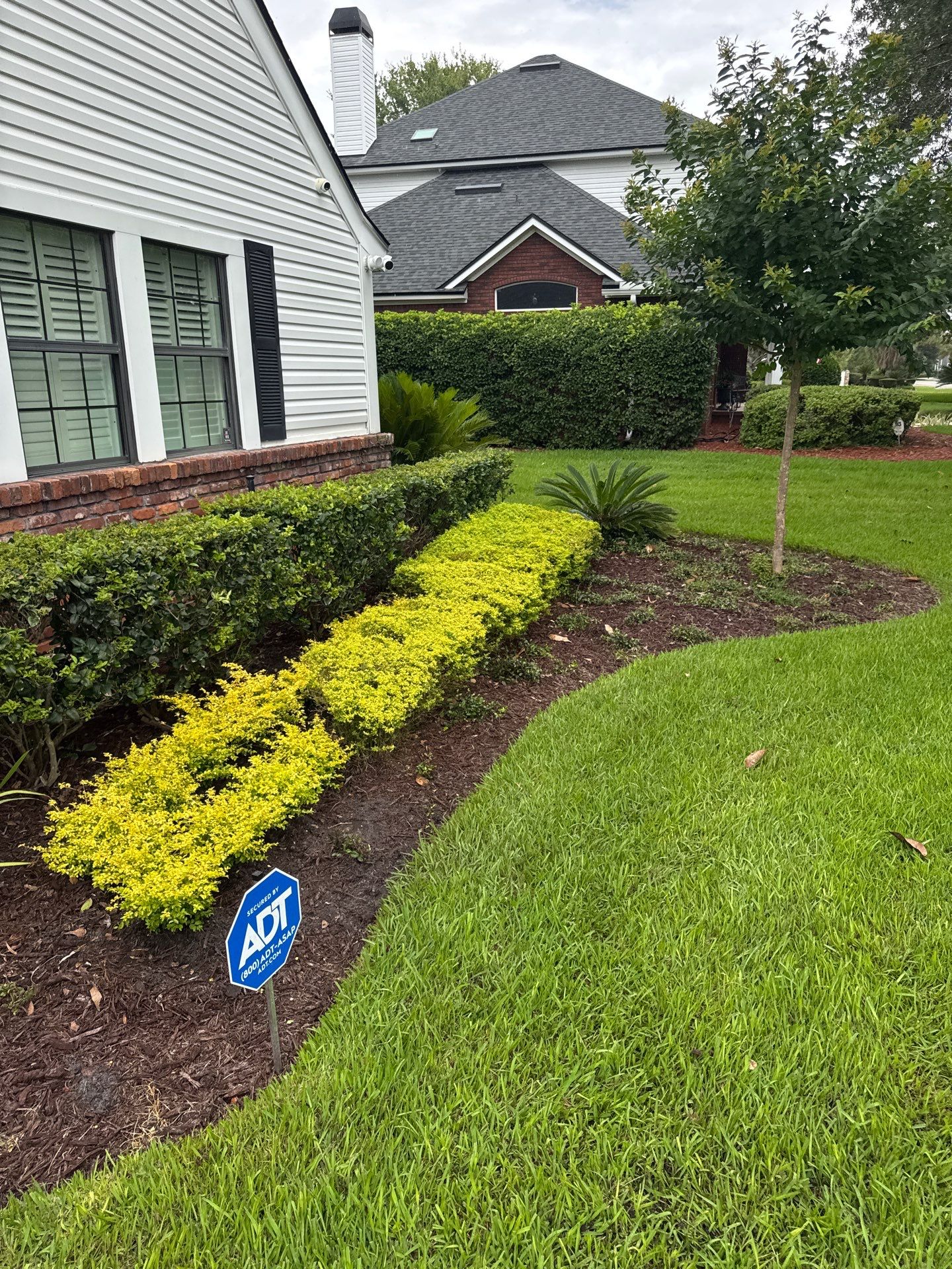 Deerwood Resident | Sod & Plant Installation by ProGreen Services