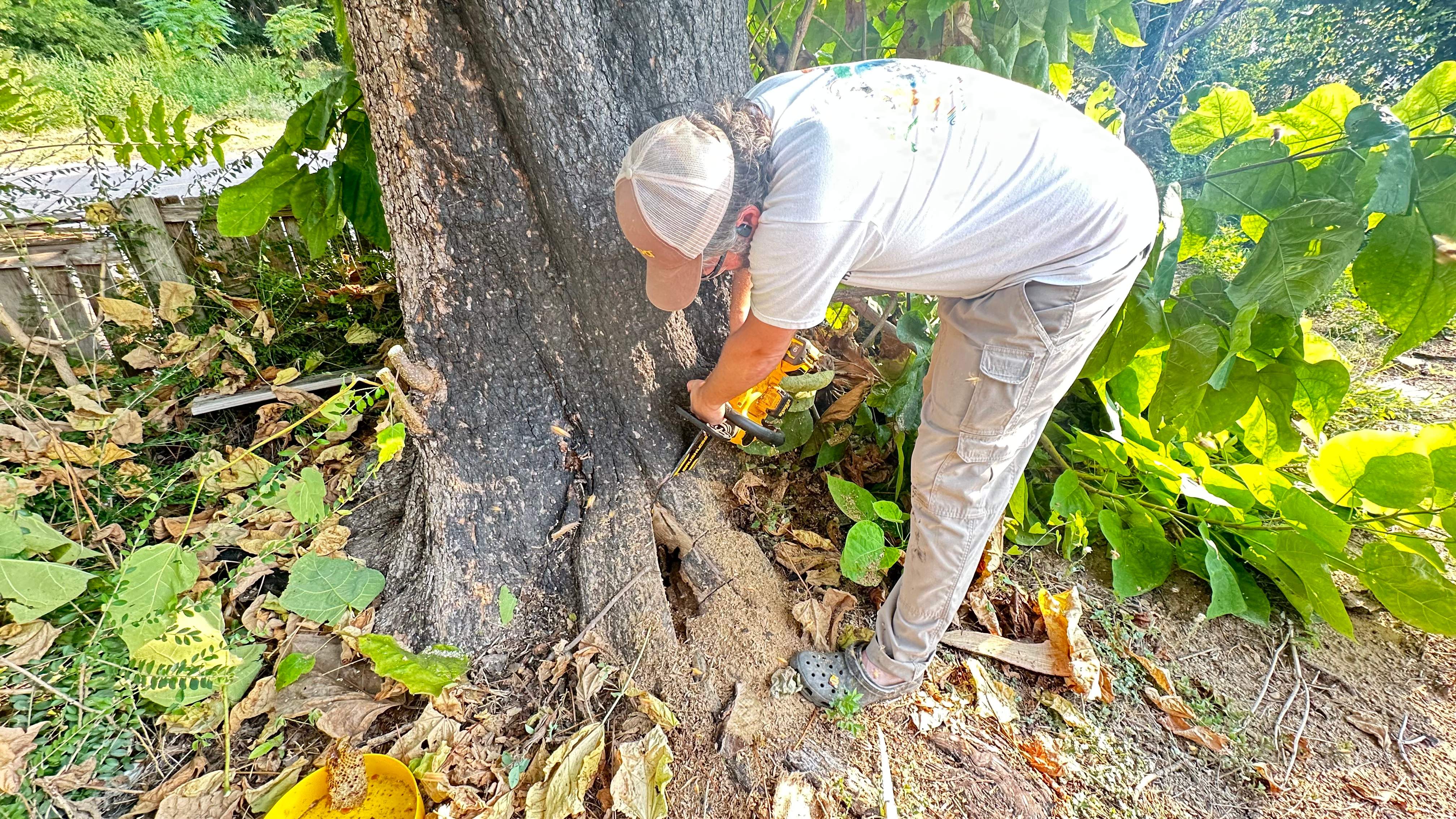 City Tree Company  by Rockwall Honey Bee Company