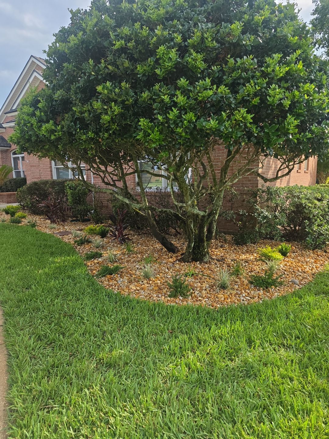 Deerwood Resident | Landscape Project by ProGreen Services