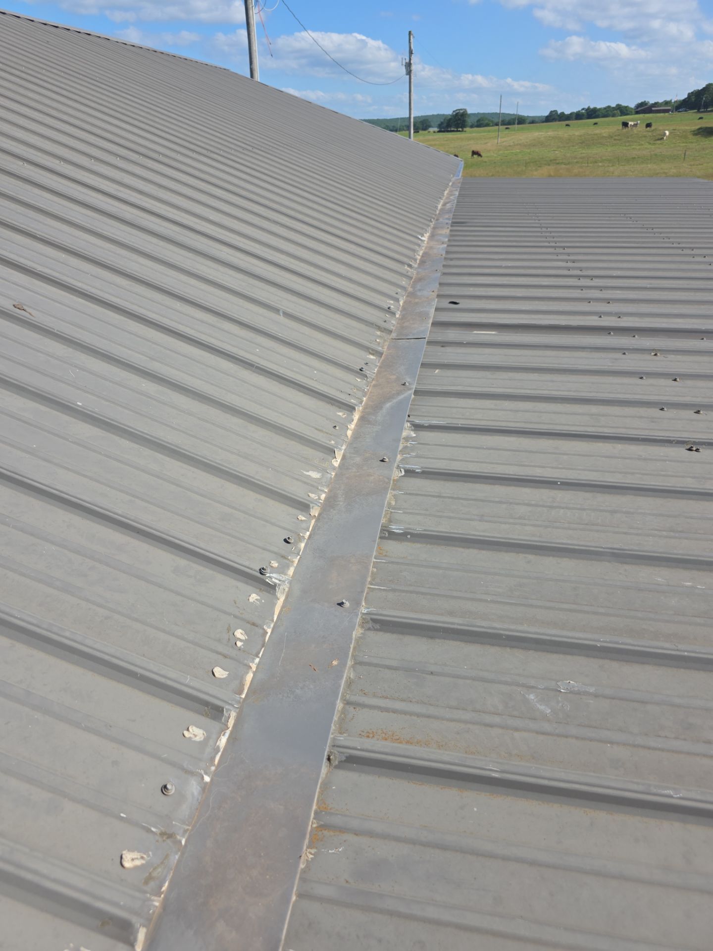 Total Protection Roofing System by In & Out Construction & Remodeling, LLC