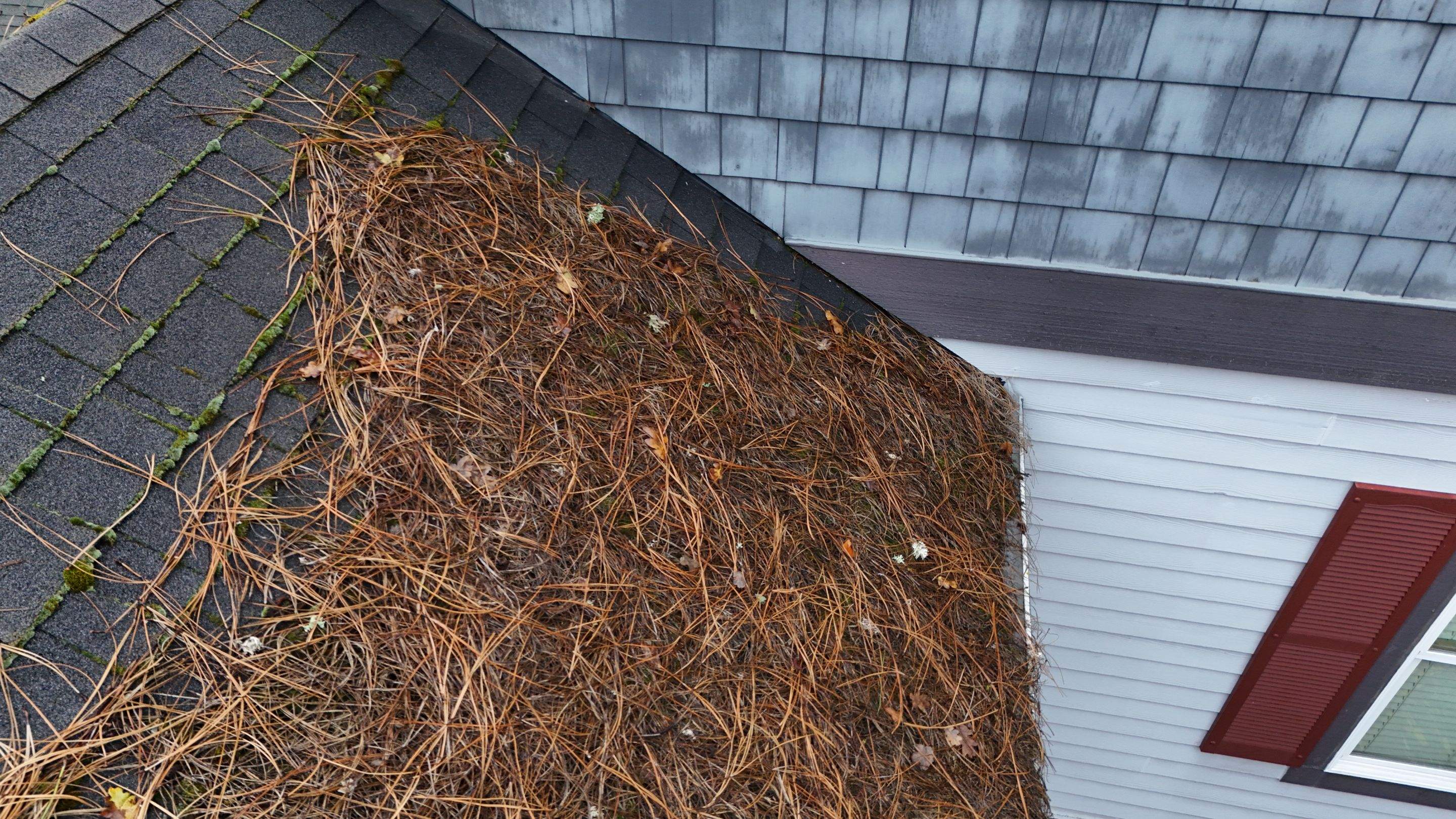 Severe Roof Maintenance in Beaverton by Prodigy Roof Solutions