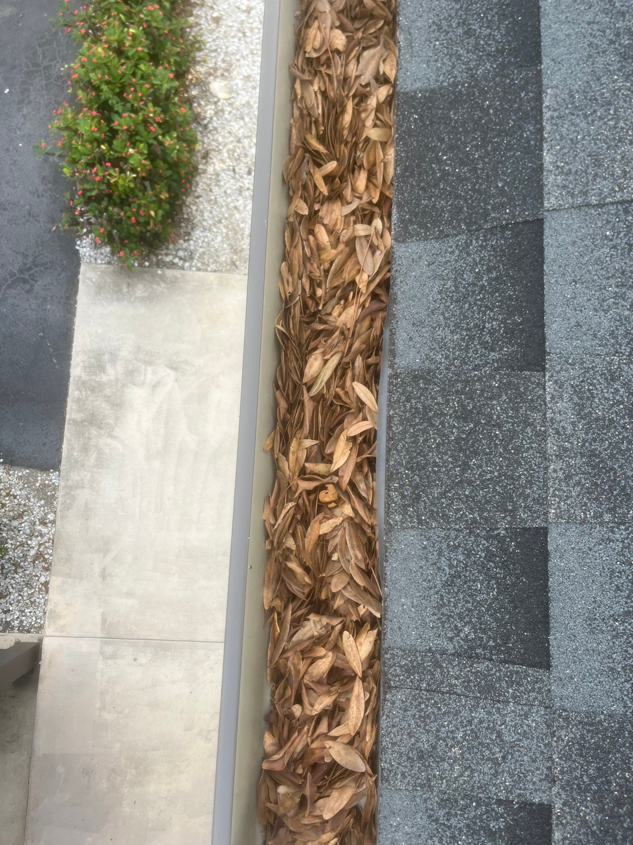 Professional Gutter Cleaning in Fort Myers FL by Gutter Professors