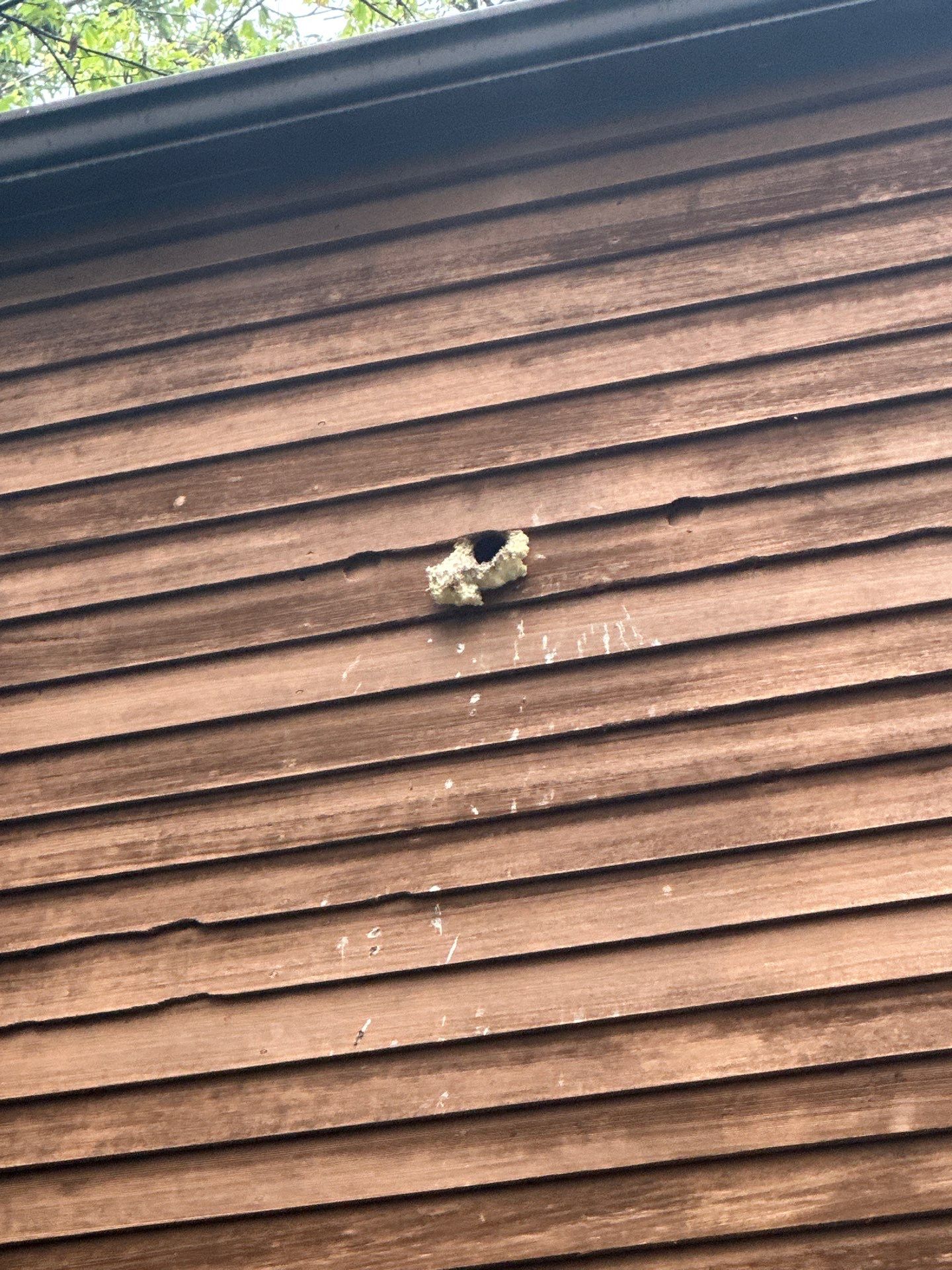 Hardie siding  by Cousins Roofing Siding & Decks