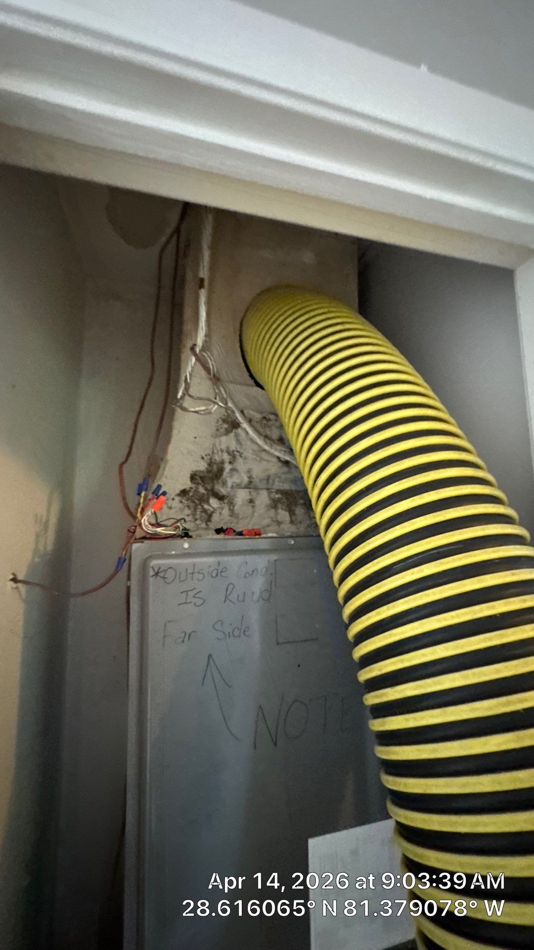 Air Duct Cleaning in Maitland by Hygienic Air, Inc